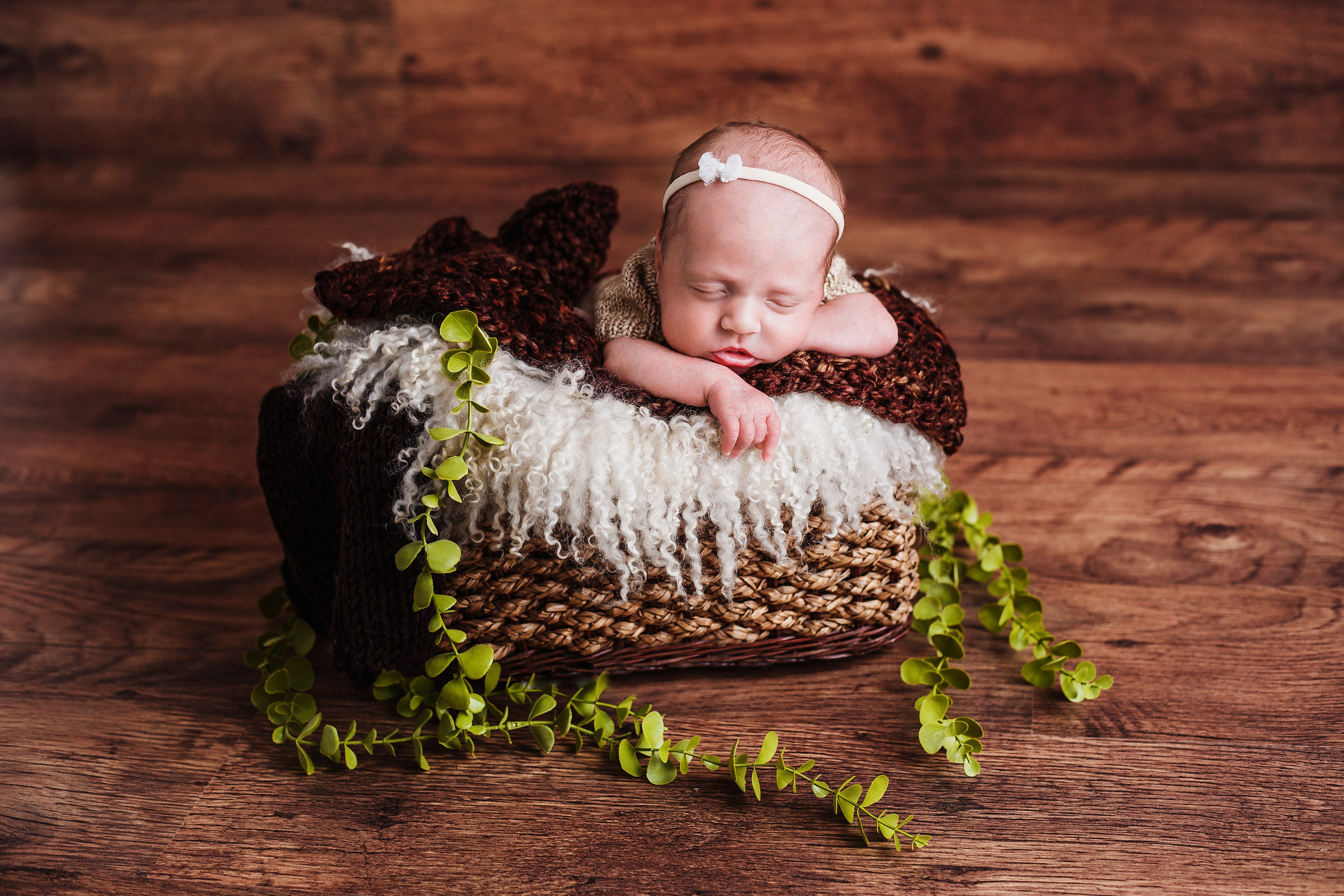 Таисия и Есения, пакет «Стандарт», 21 день. Фотограф новорождённых Екатерина Боброва. Ульяновск