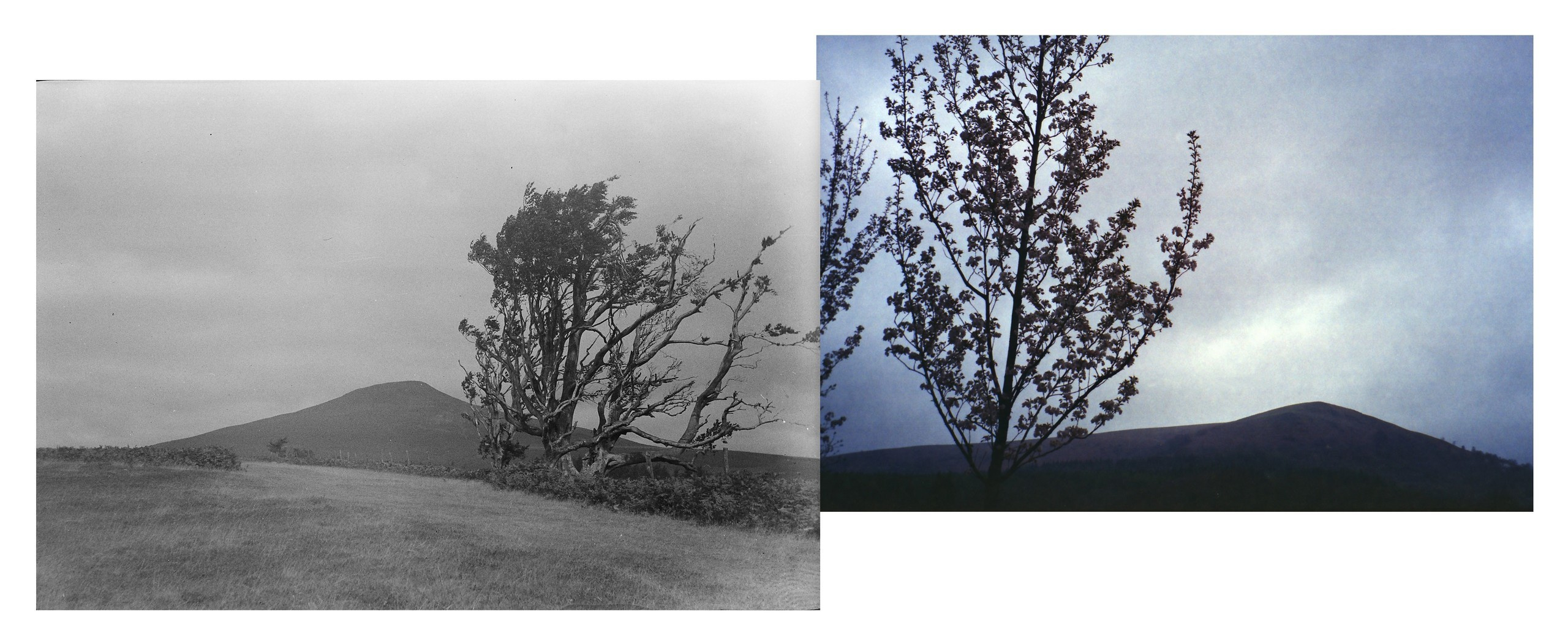 Потерпевшие кораблекрушение. Екатерина Васильева художник, куратор и преподаватель