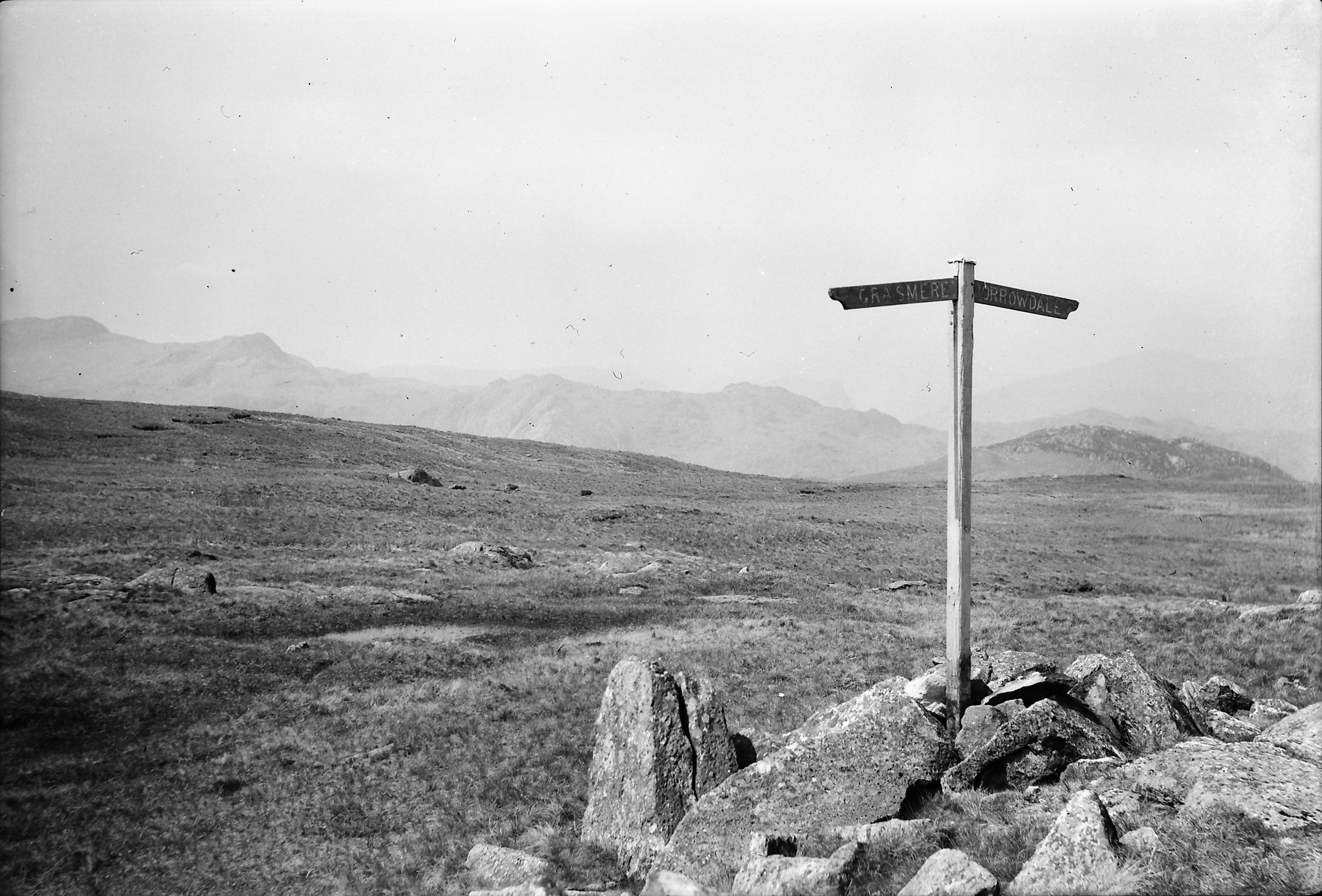Потерпевшие кораблекрушение. Екатерина Васильева художник, куратор и преподаватель