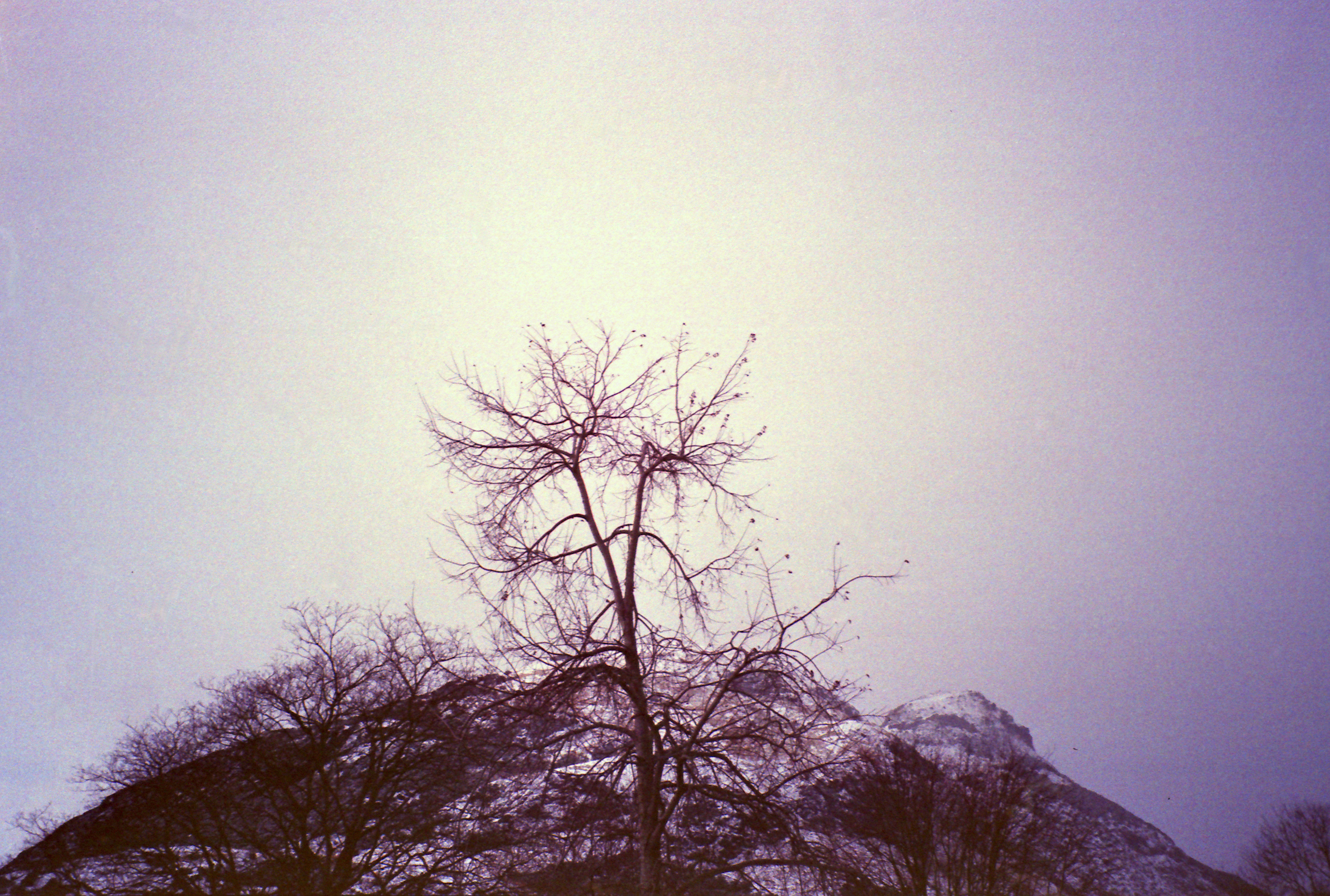 Потерпевшие кораблекрушение. Екатерина Васильева художник, куратор и преподаватель