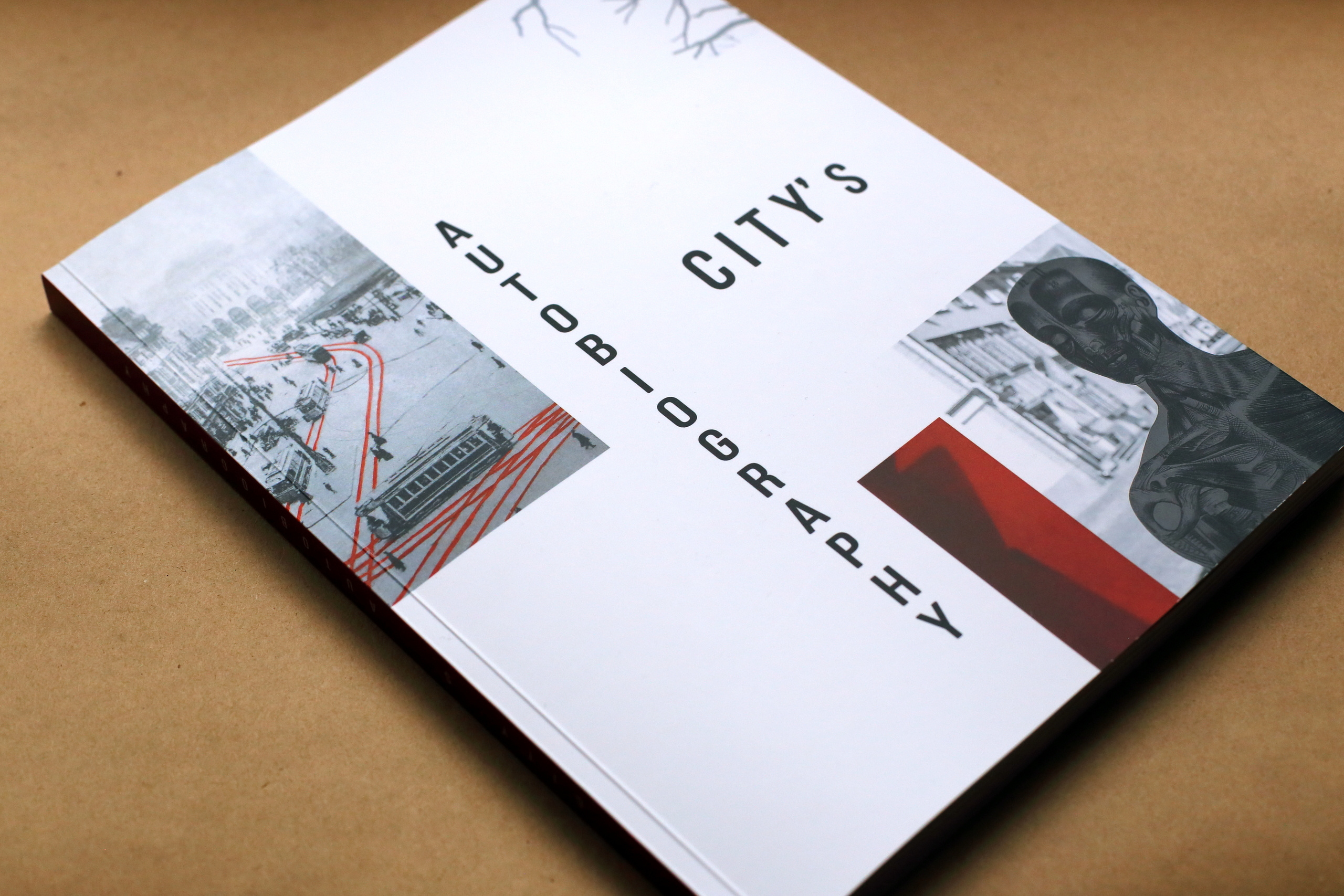 Автобиография города. Екатерина Васильева художник, куратор и преподаватель