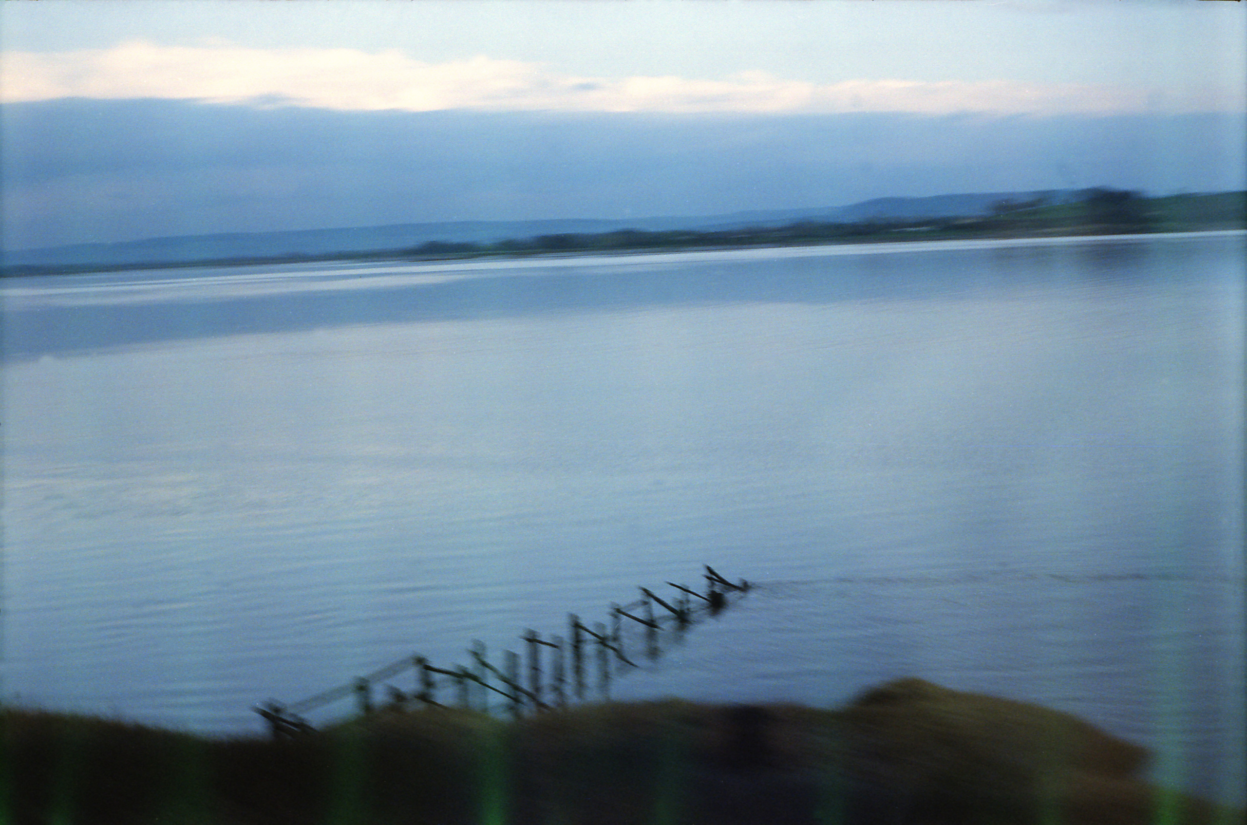 Потерпевшие кораблекрушение. Екатерина Васильева художник, куратор и преподаватель