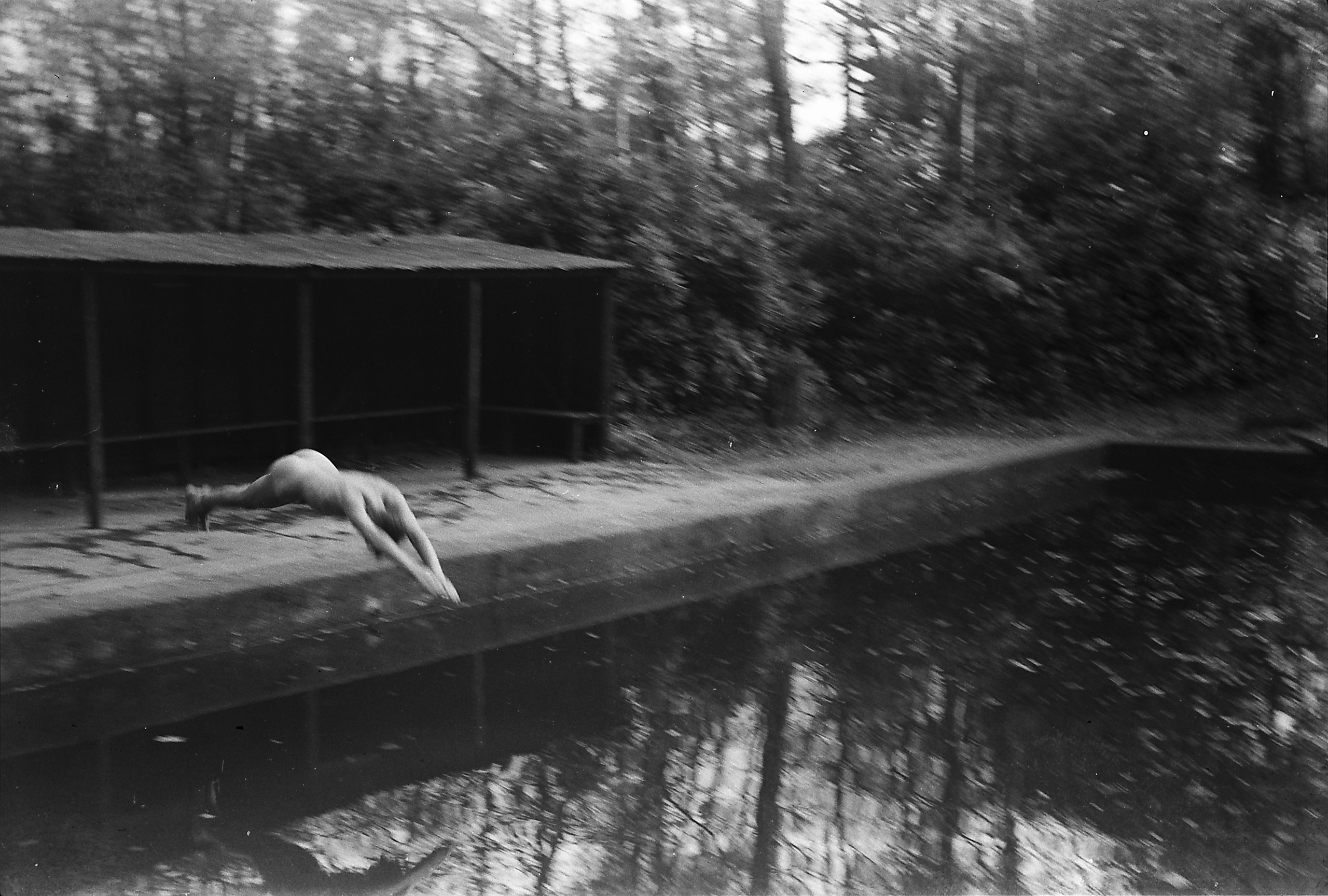 Потерпевшие кораблекрушение. Екатерина Васильева художник, куратор и преподаватель