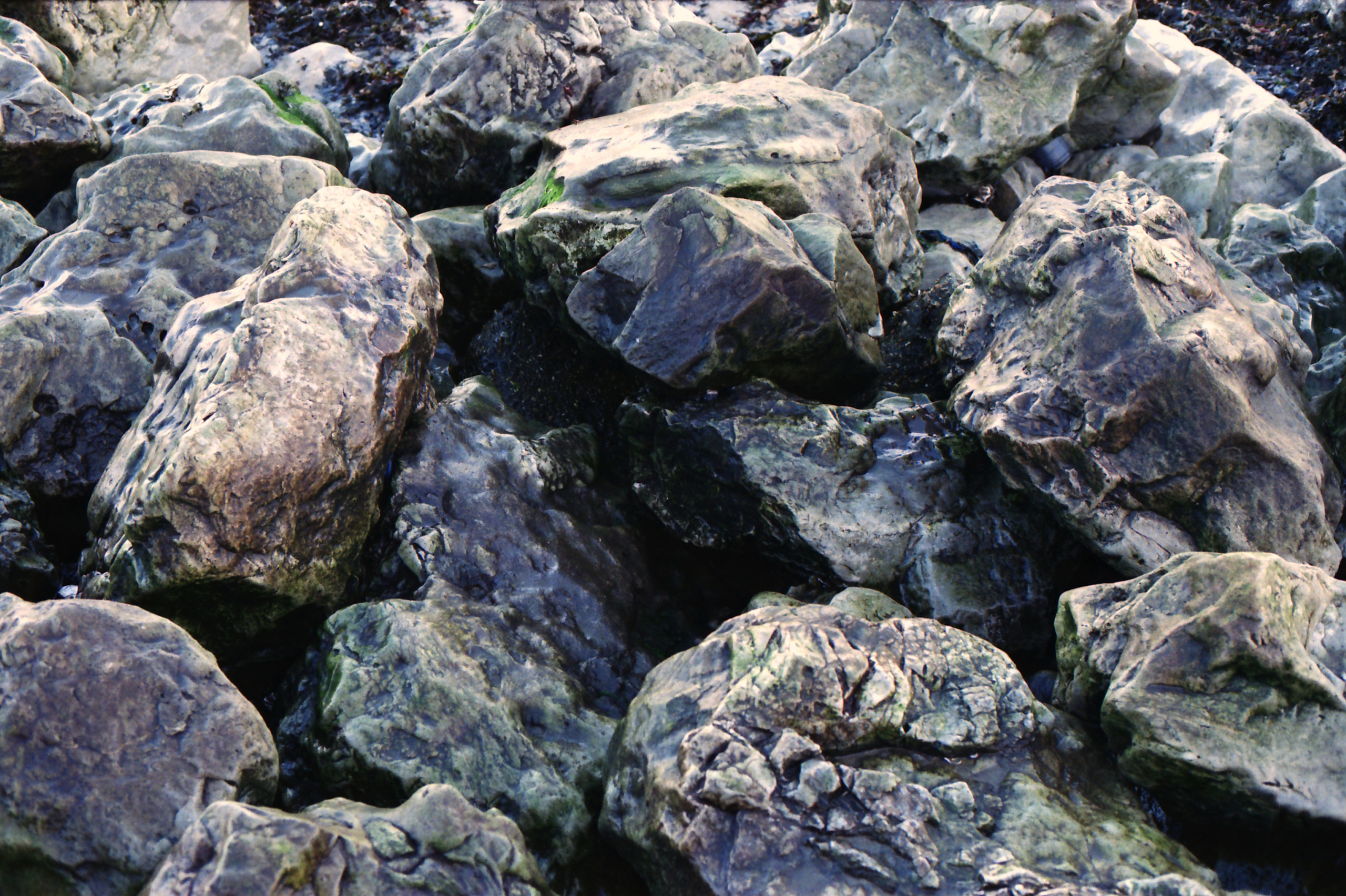 Потерпевшие кораблекрушение. Екатерина Васильева художник, куратор и преподаватель