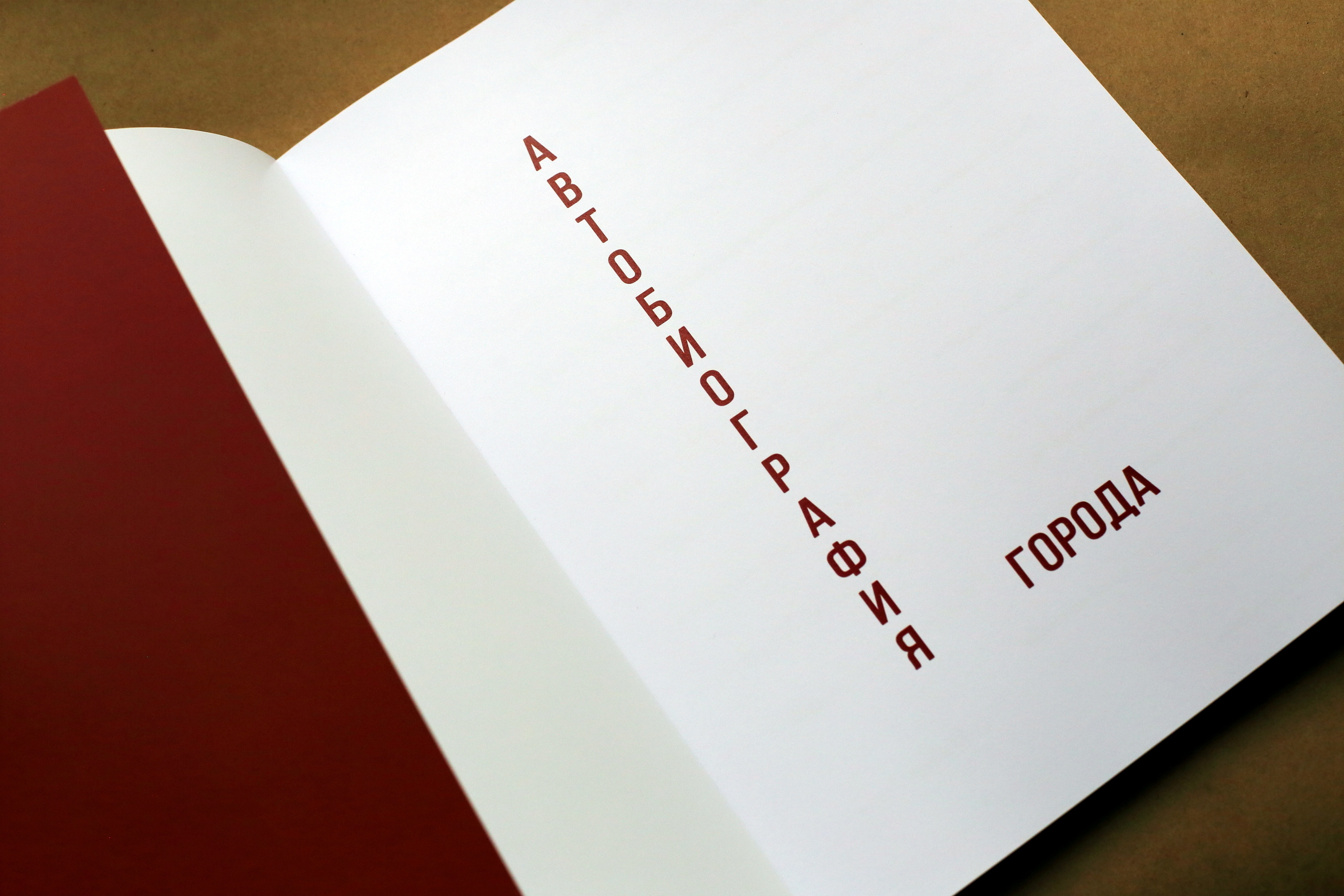 Автобиография города. Екатерина Васильева художник, куратор и преподаватель