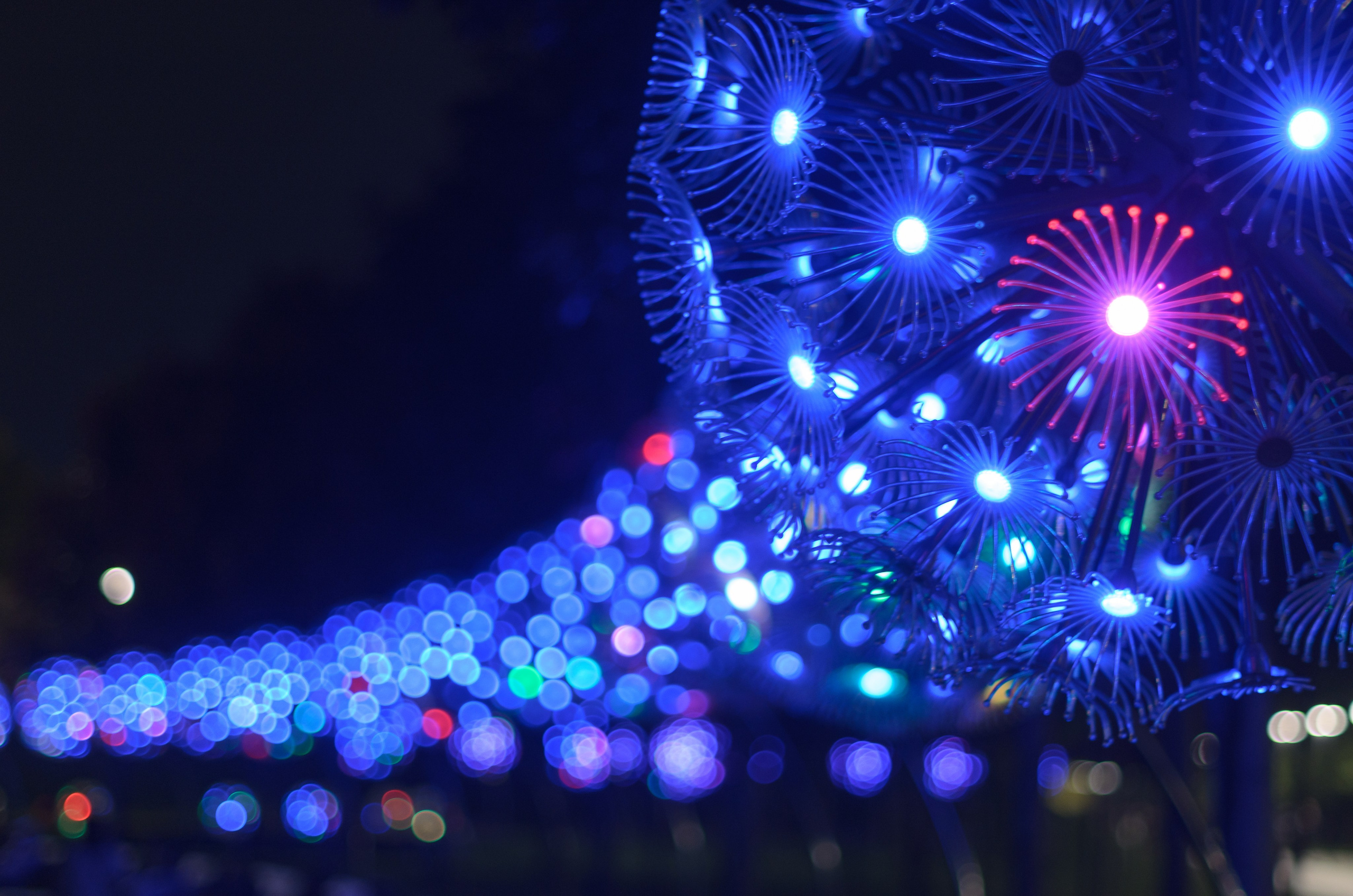 Краснодар. Фотосессия в парке Галицкого