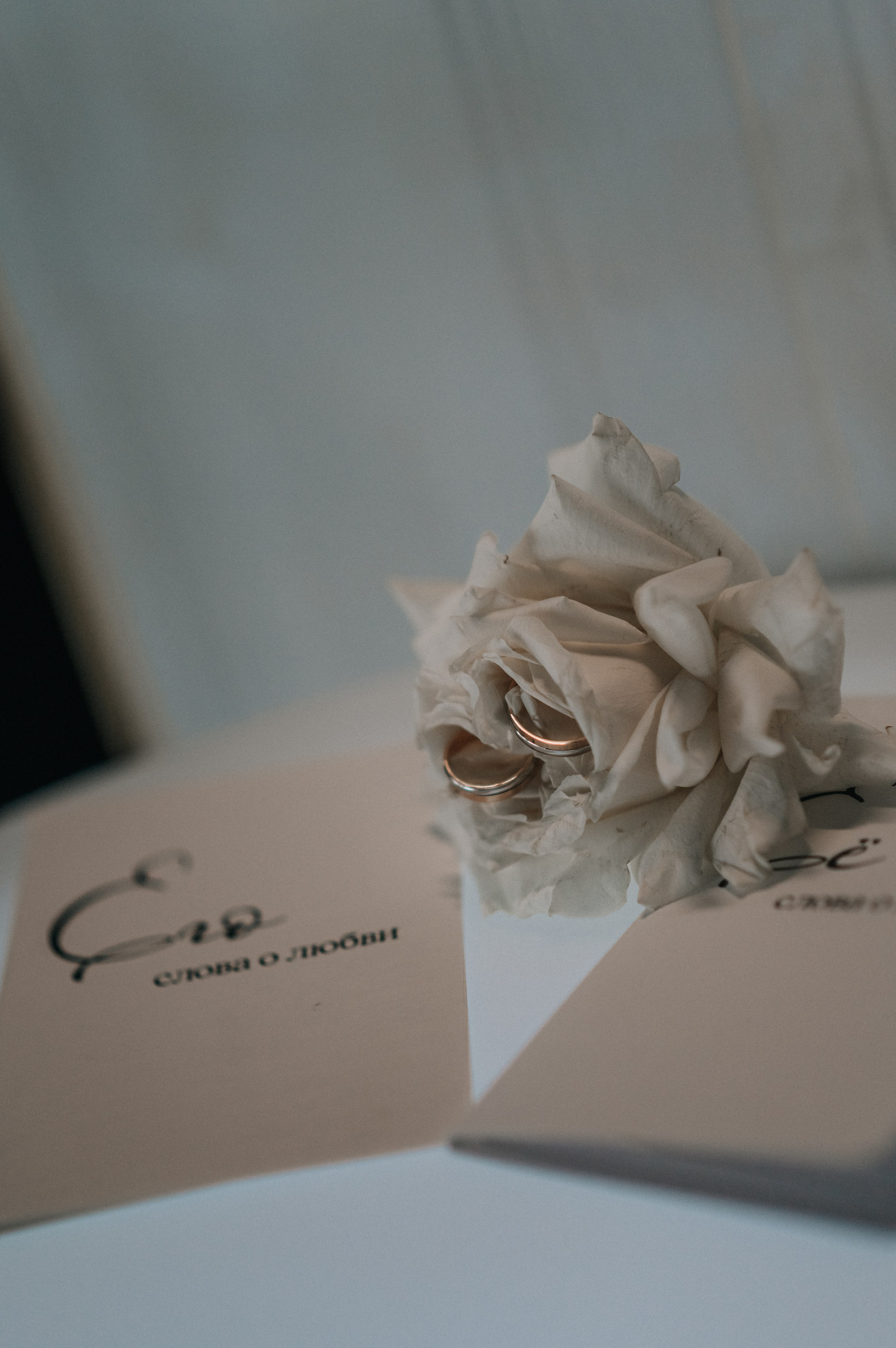 Екатерина и Владимир. Семейный и детский фотограф Анастасия Иванова