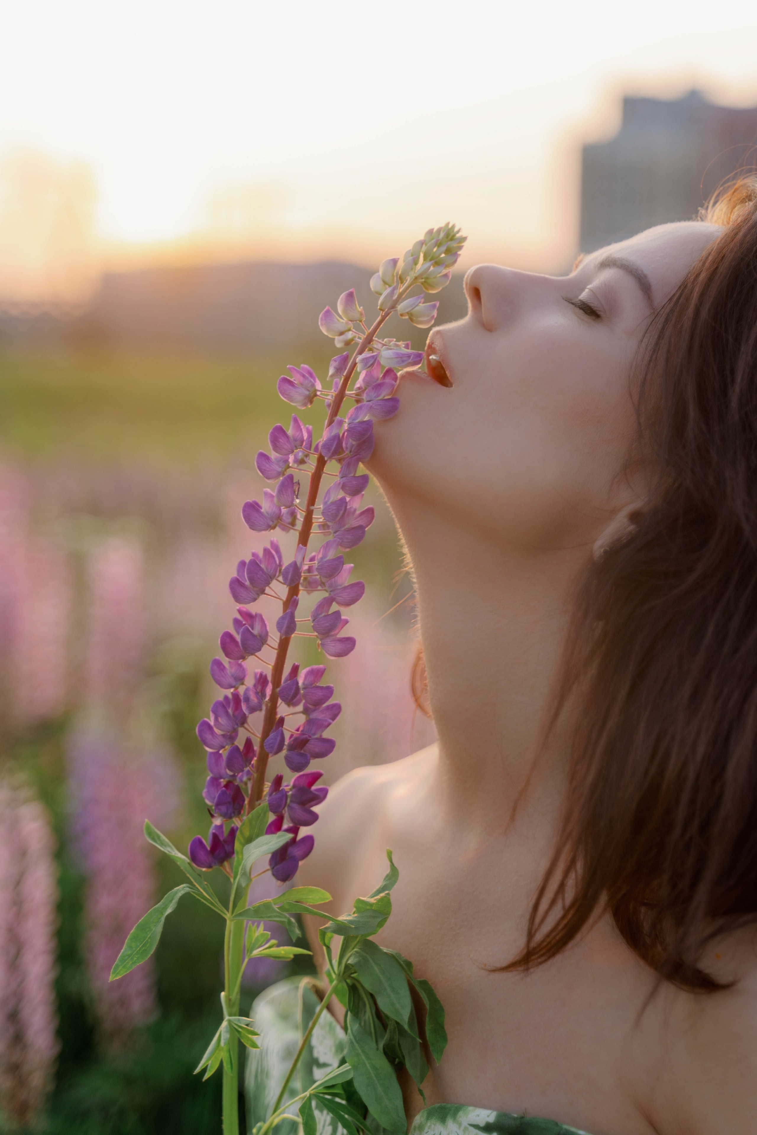 Наташа и люпины. Фотограф и видеограф в Москве и Абу Даби Мария Кулагина