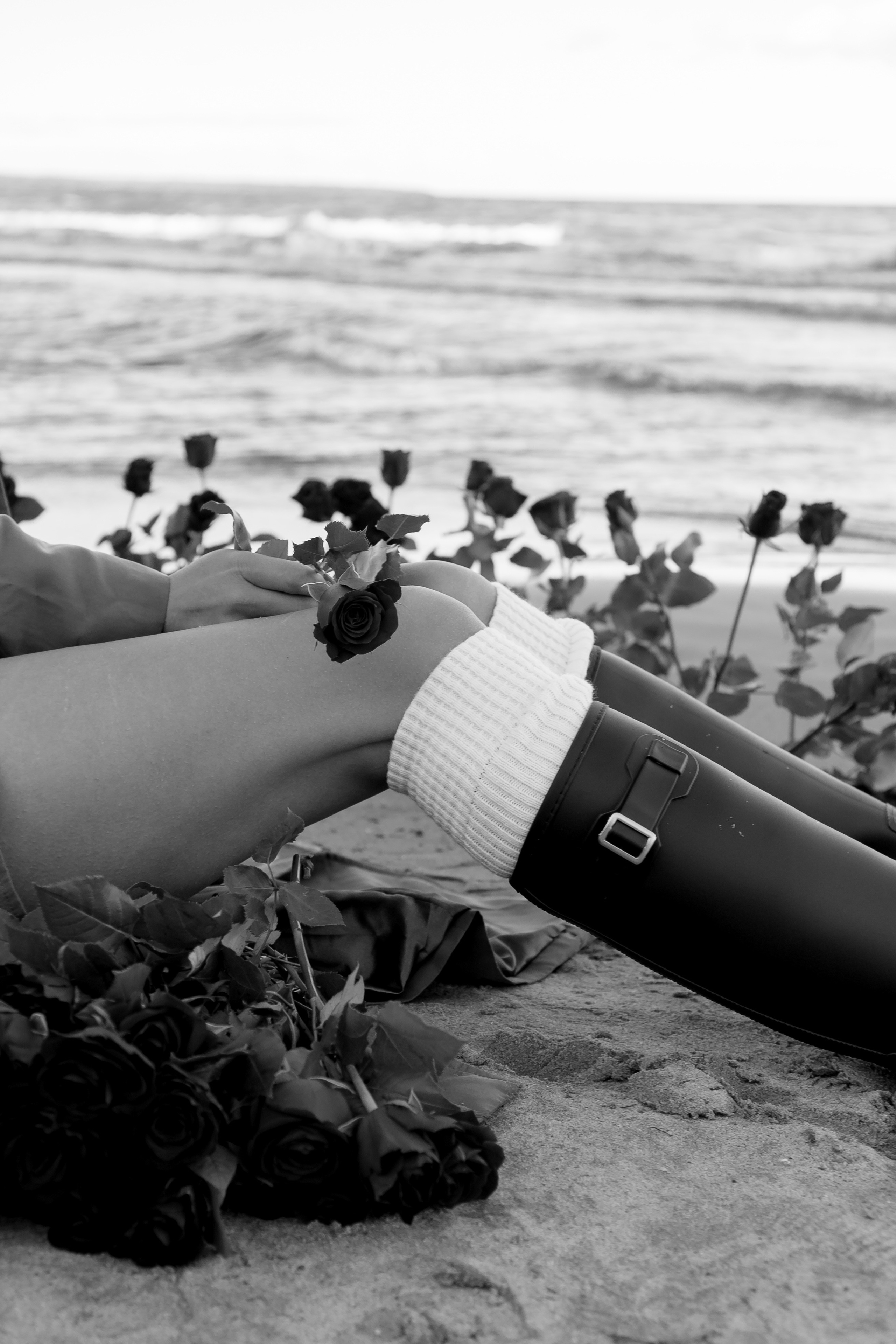 Розы. Профессиональный фотограф, Санкт-Петербург — Виктория Богомолова