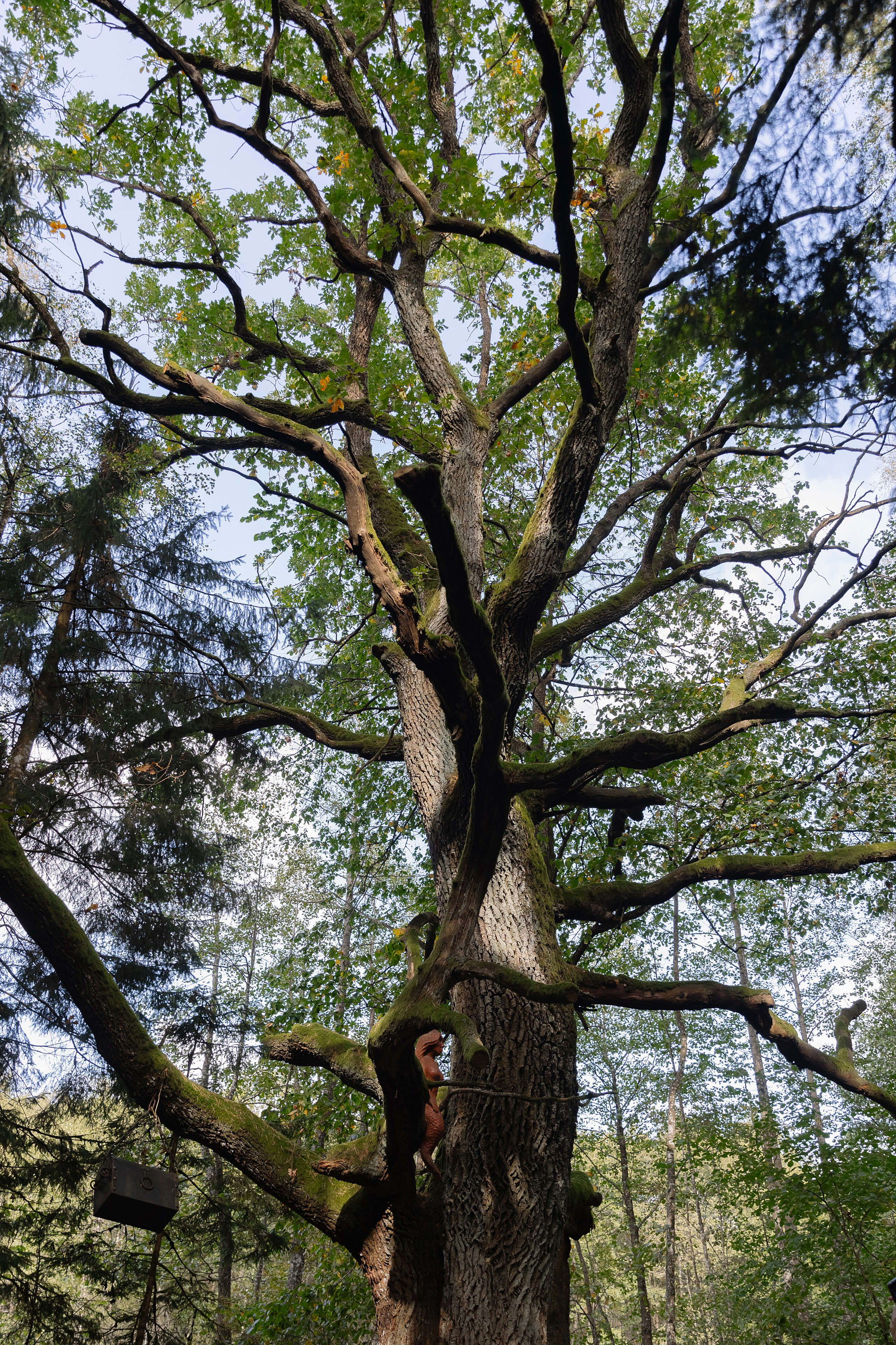 Корпоративная фотосъемка для ОАО Белагропромбанк в Суле в Загородном комплексе Westa. Свадебный фотограф в Минске/Беларуси Сергей Спиридонов