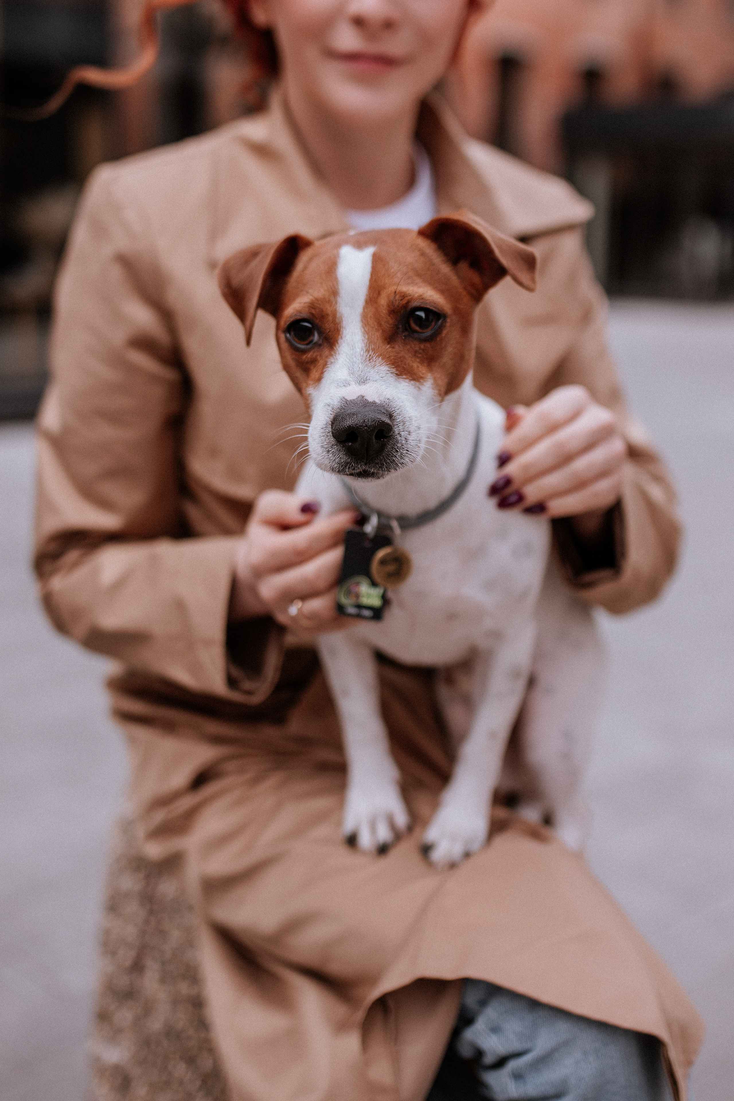 Аня, Артем и Патрик. Свадебный фотограф Елена Рубцова