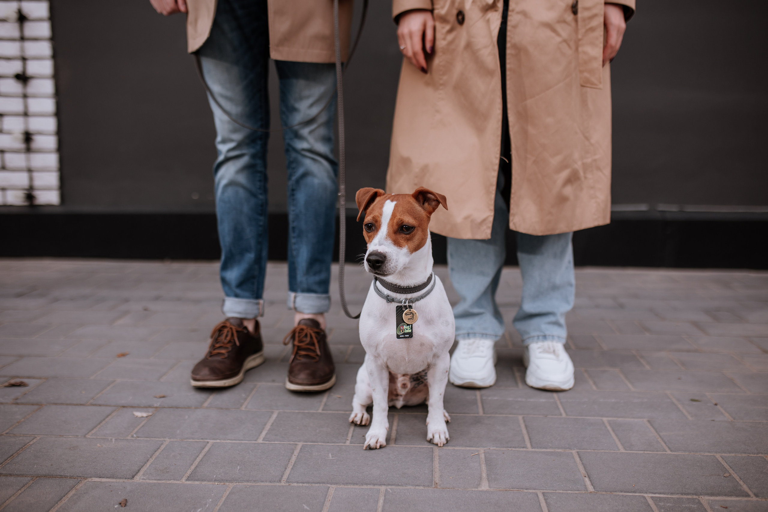 Аня, Артем и Патрик. Свадебный фотограф Елена Рубцова