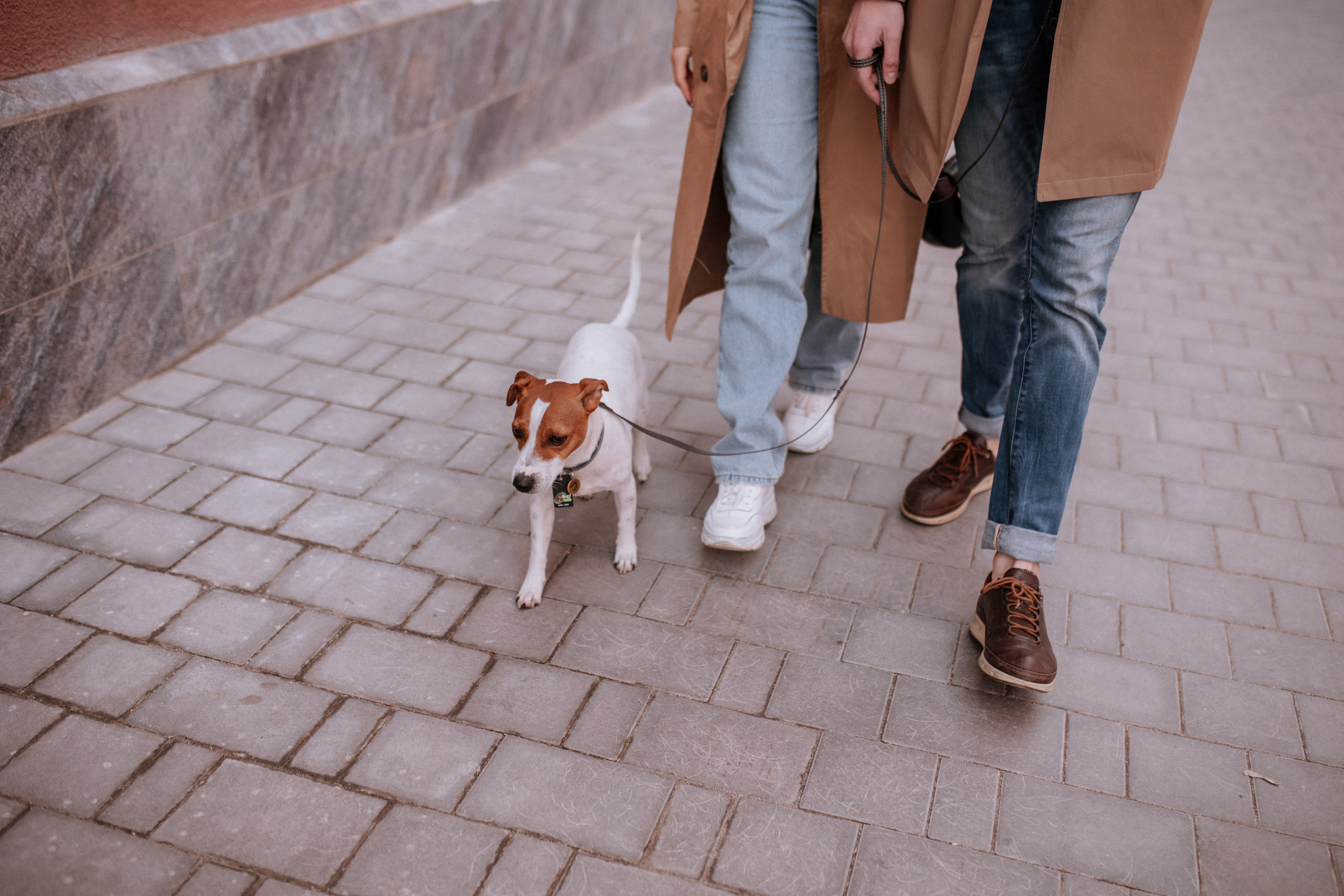 Аня, Артем и Патрик. Свадебный фотограф Елена Рубцова