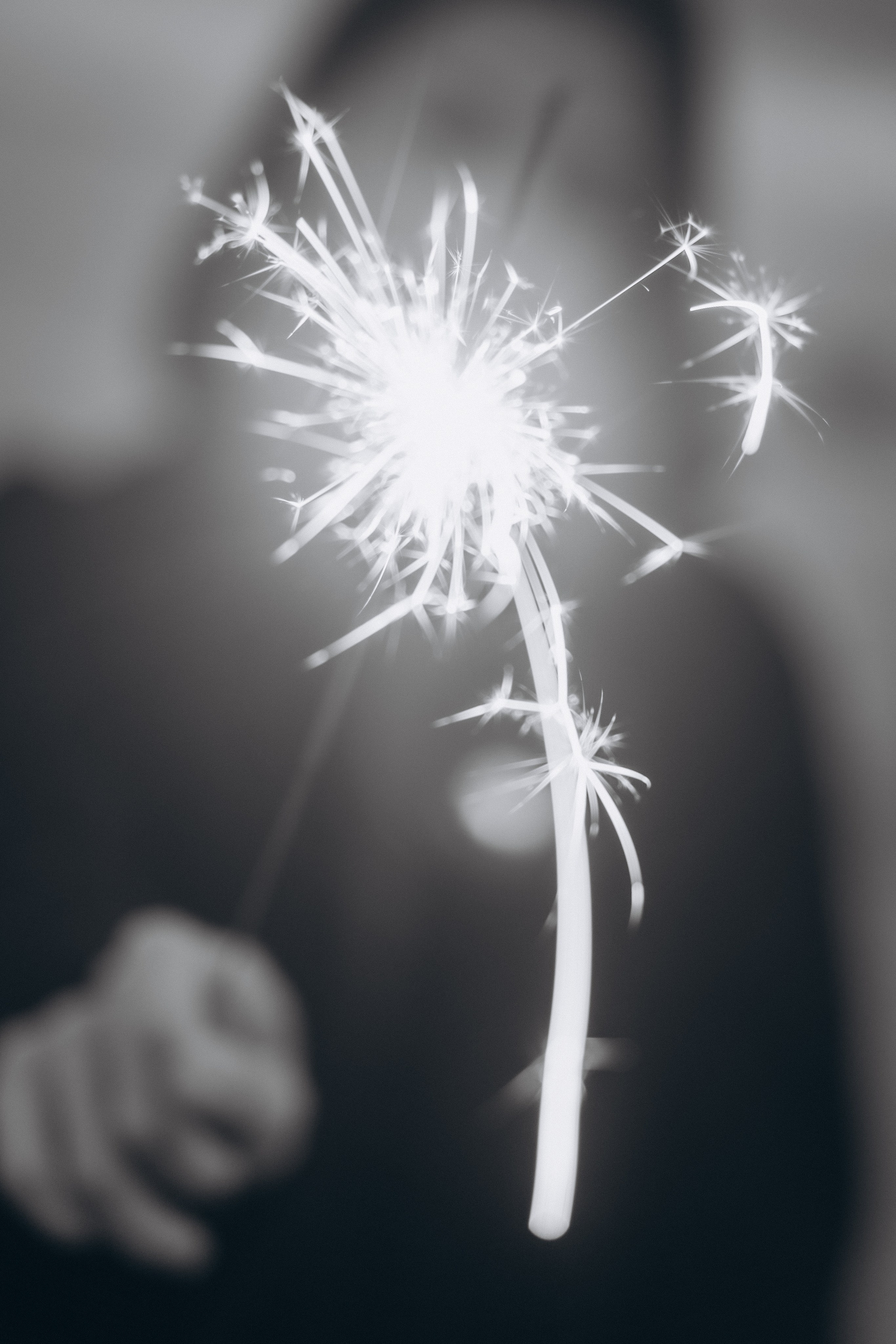 Валерия. Дмитриева Светлана женский и семейный фотограф Рига, Москва, Геленджик