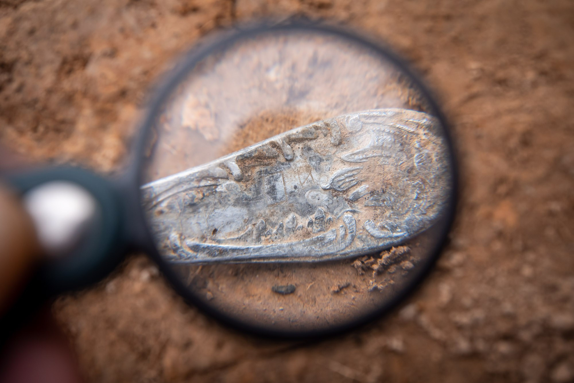 Вахта памяти 2018. Фотограф Алексей Скоробогатько