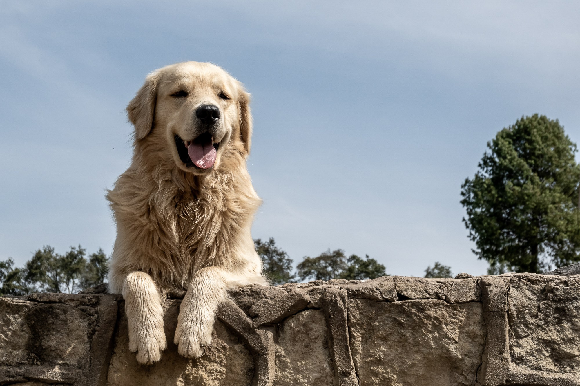 Монги (Mongui). Колумбия (Colombia). Фотограф Алексей Скоробогатько