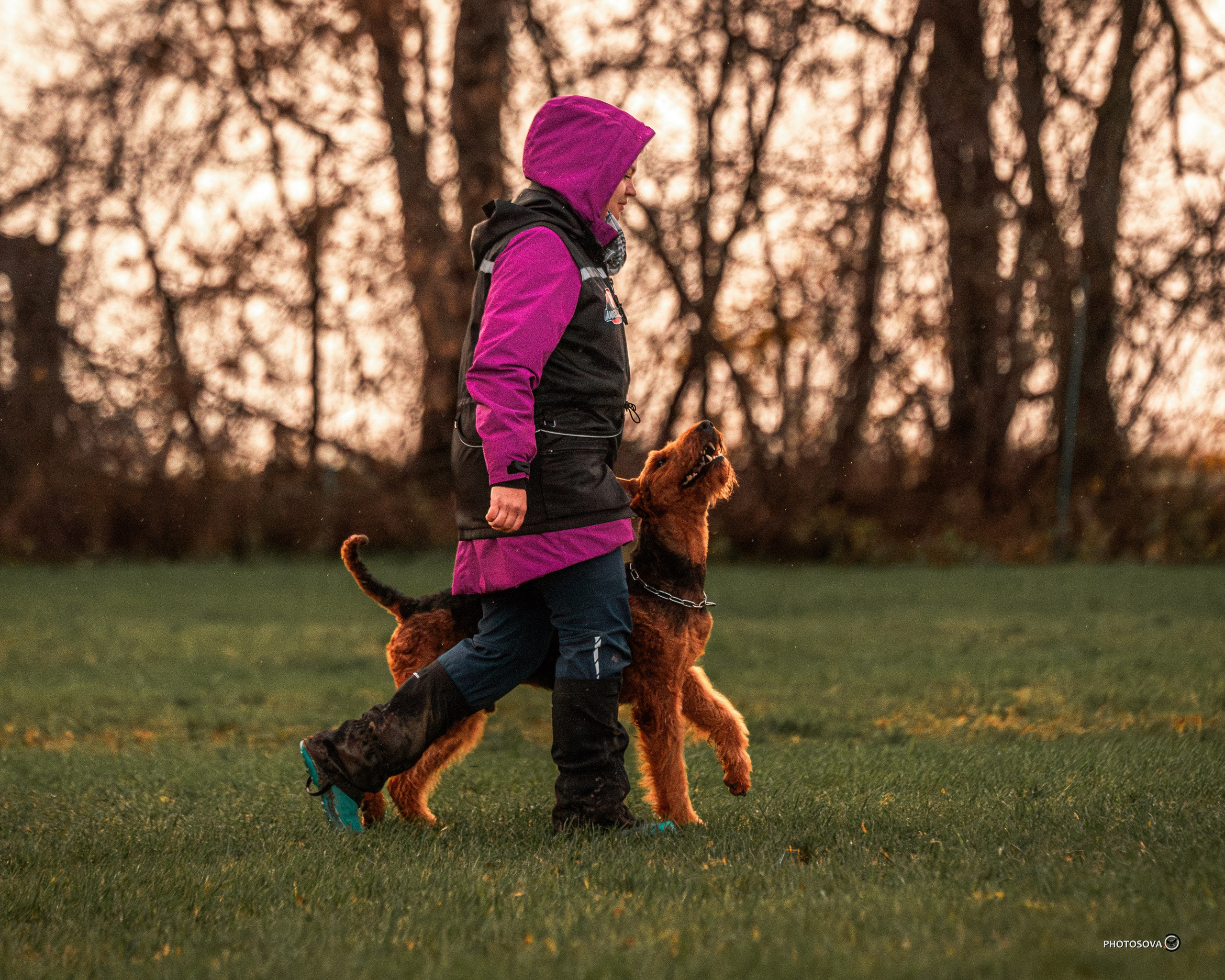МЫ — КОМАНДА (соревнования) OKD, BH, IBGH, IGP. Фотограф-анималист, семейный фотограф в Москве и Подмосковье. Фотосъёмка кинологических дисциплин