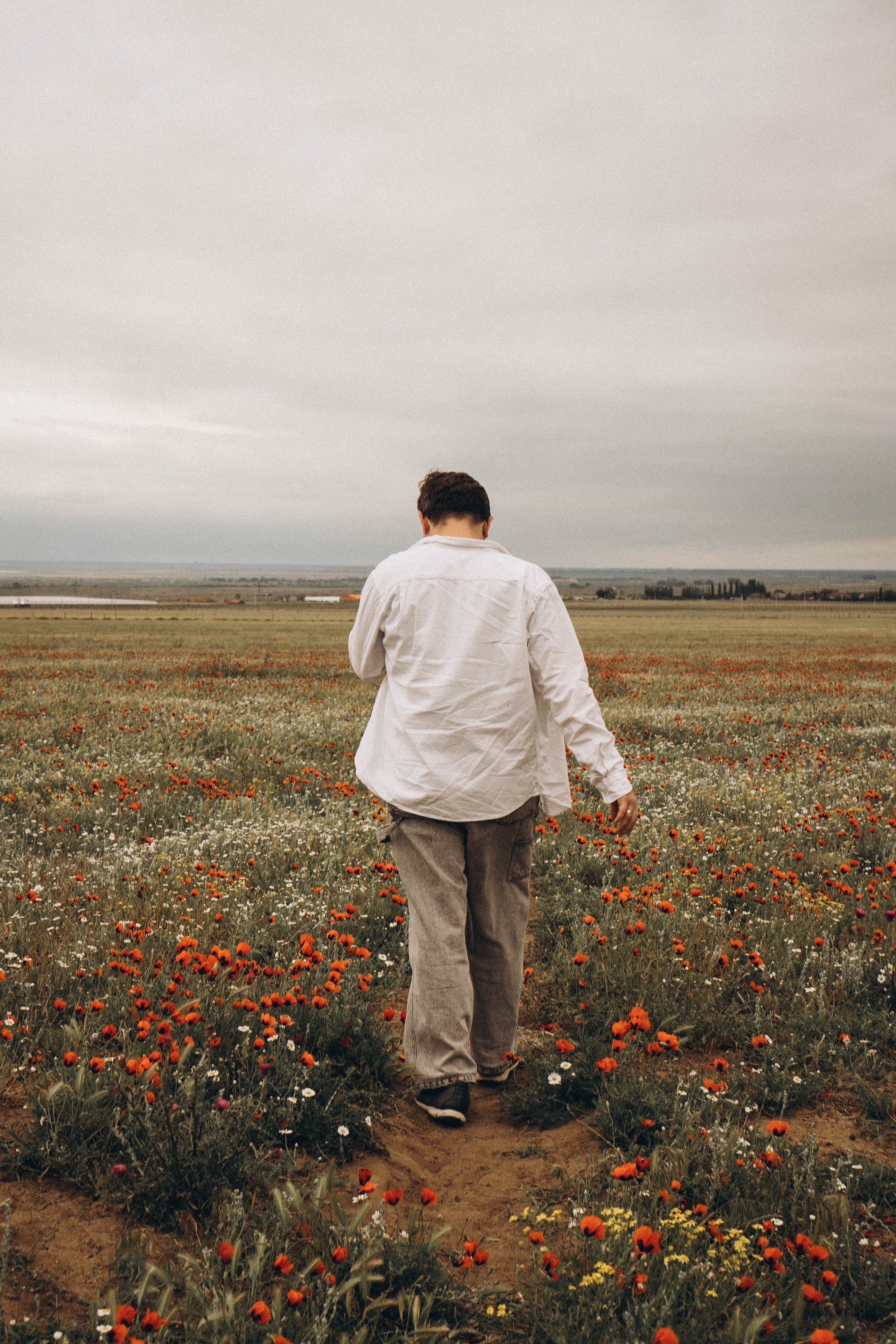 Маки. Профессиональный фотограф, Санкт-Петербург — Виктория Богомолова