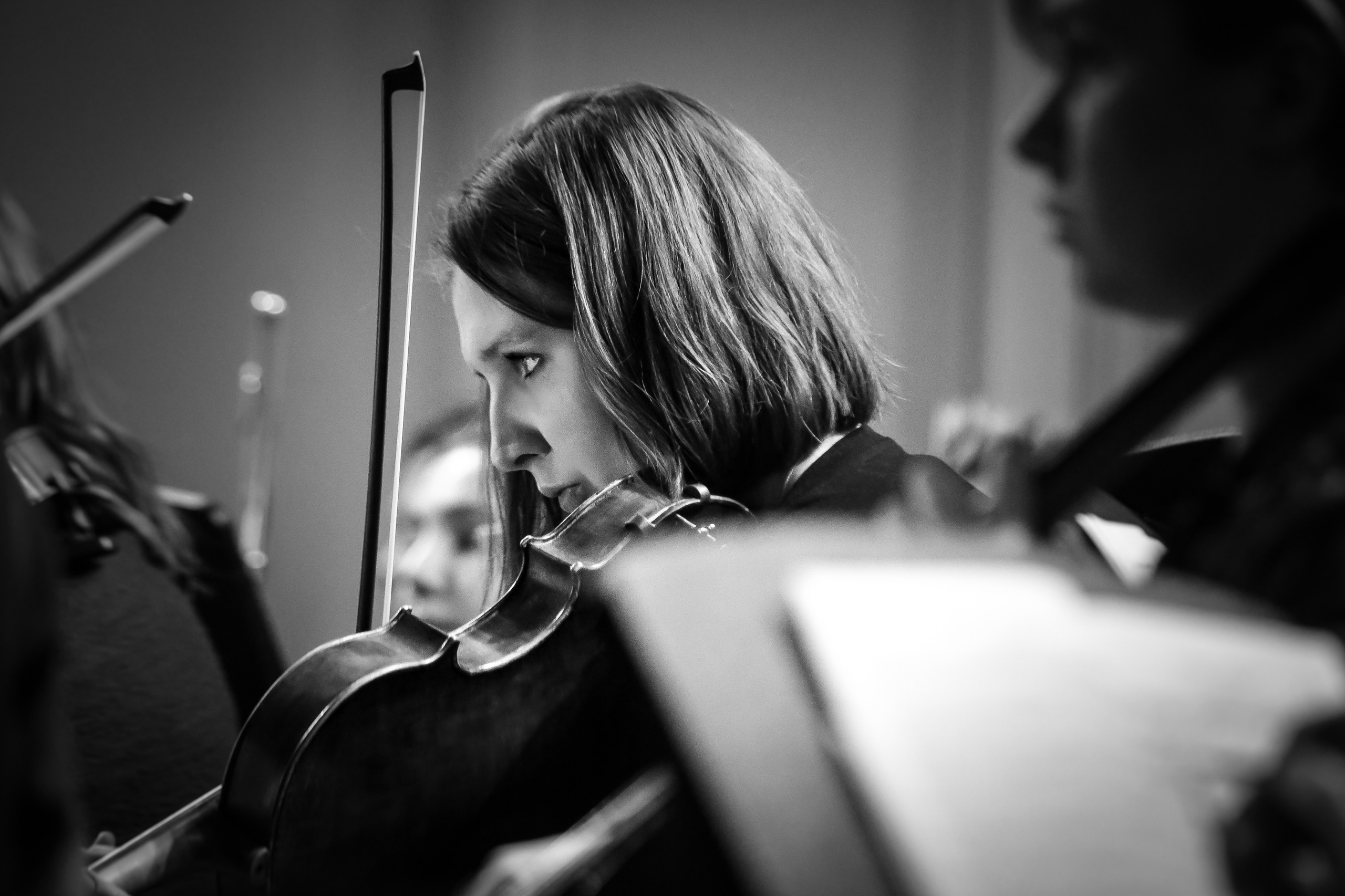 Концерт с Квартетом им. Бородина. Дарья Письменюк / Darya Leitstern — фотограф, музыкант, журналист, путешественник