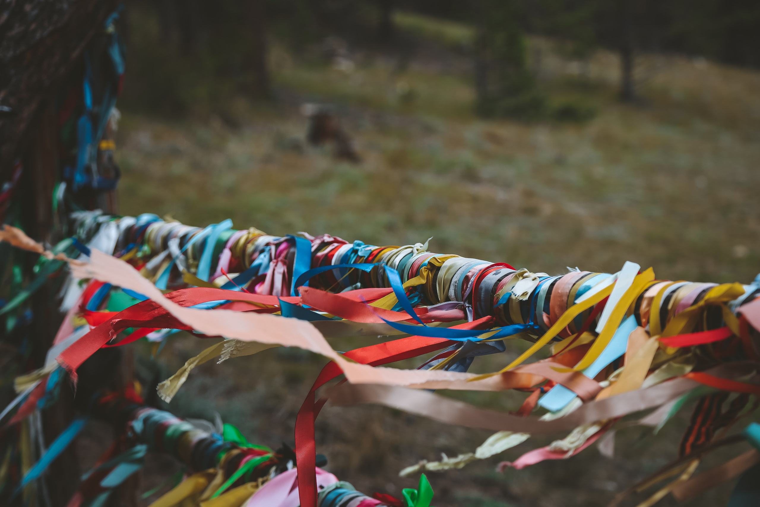 Байкал летний: легенды и святыни. Дарья Письменюк / Darya Leitstern — фотограф, музыкант, журналист, путешественник