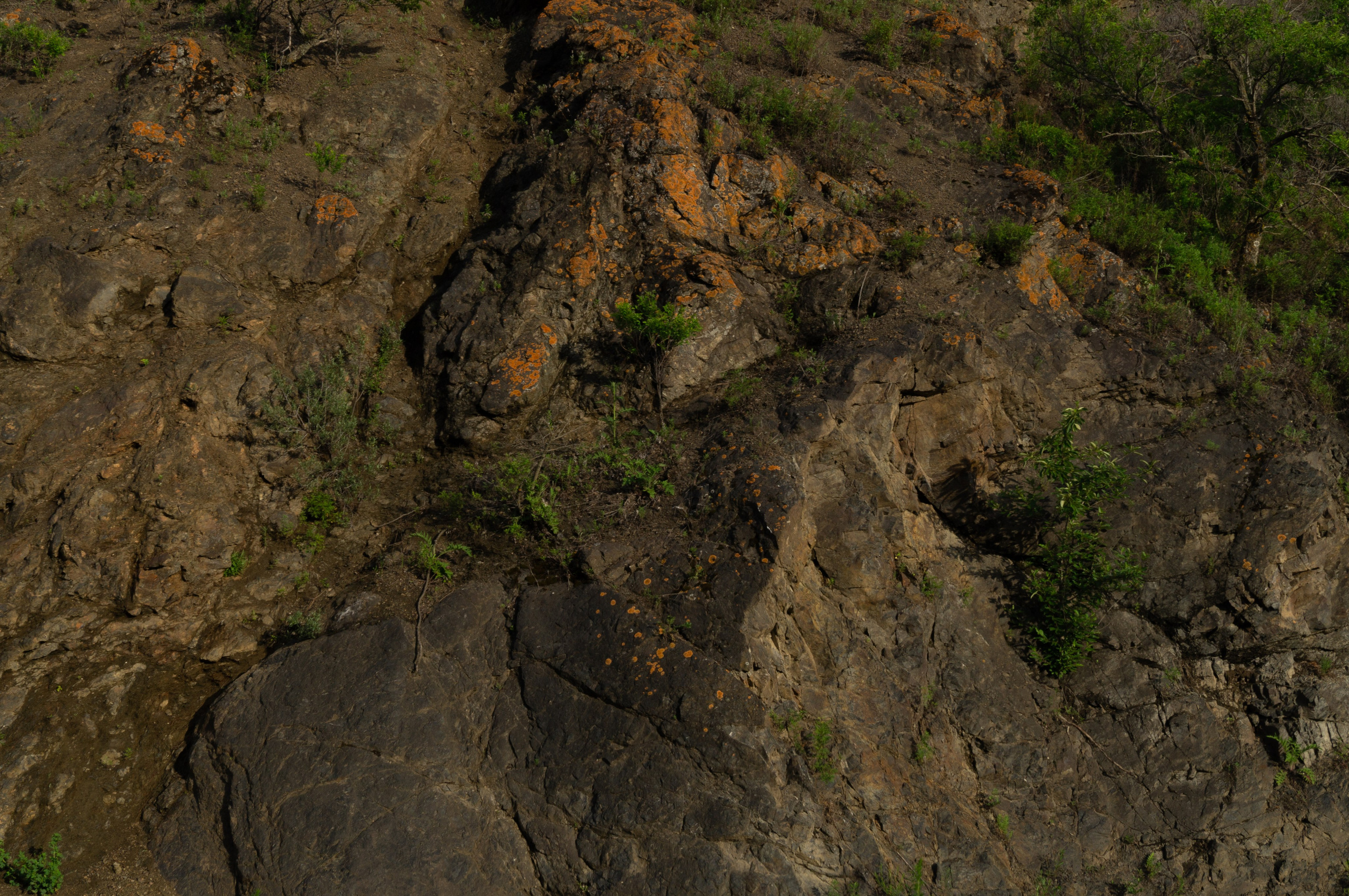 дачи, город, архитектура, стрит, репортажная фотография, фотография, Хабаровск, фотосессия, фотограф, дом, новостройка, улицы, жизнь города, town, art, photo, photographer, photo, Khabarovsk, Far East, street photo, природа, Дальний Восток, тайга, цветы, закат, небо, облака, nature, clouds, forest, flower, sunset, river, река