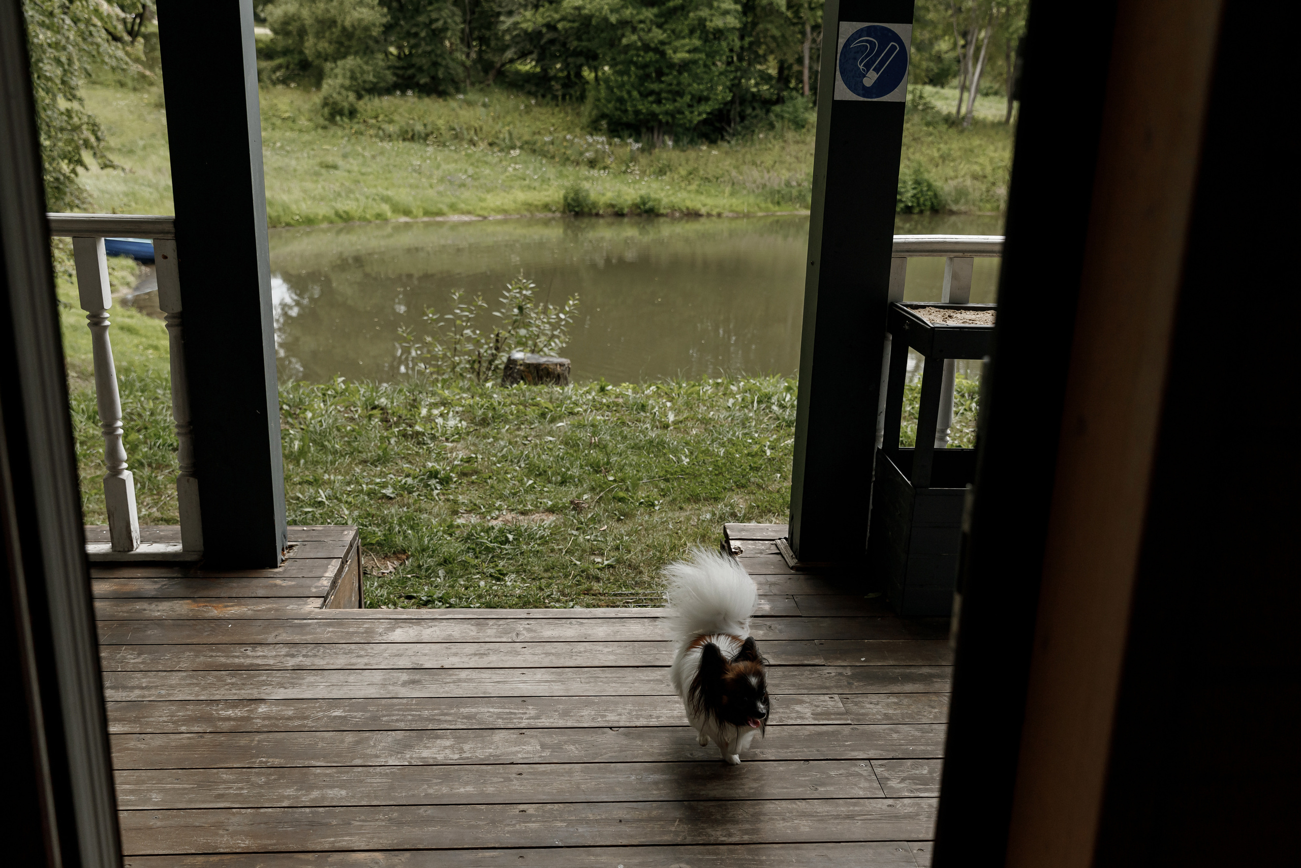 Wedding day Сергей и Дарья. Свадебный фотограф Колесников Антон
