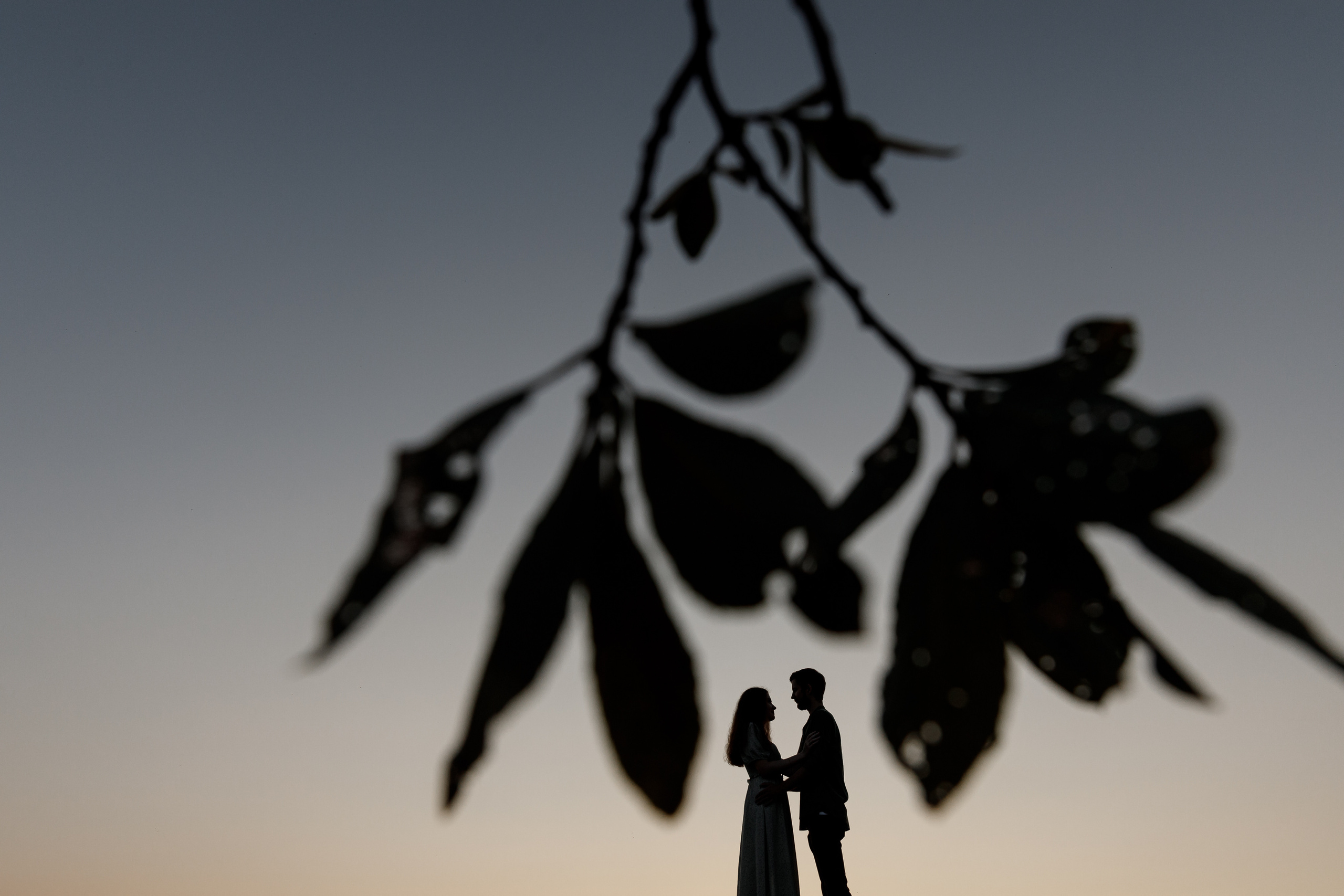 «Фотография со вкусом Любви» Евгений и Екатерина. Свадебный фотограф Колесников Антон