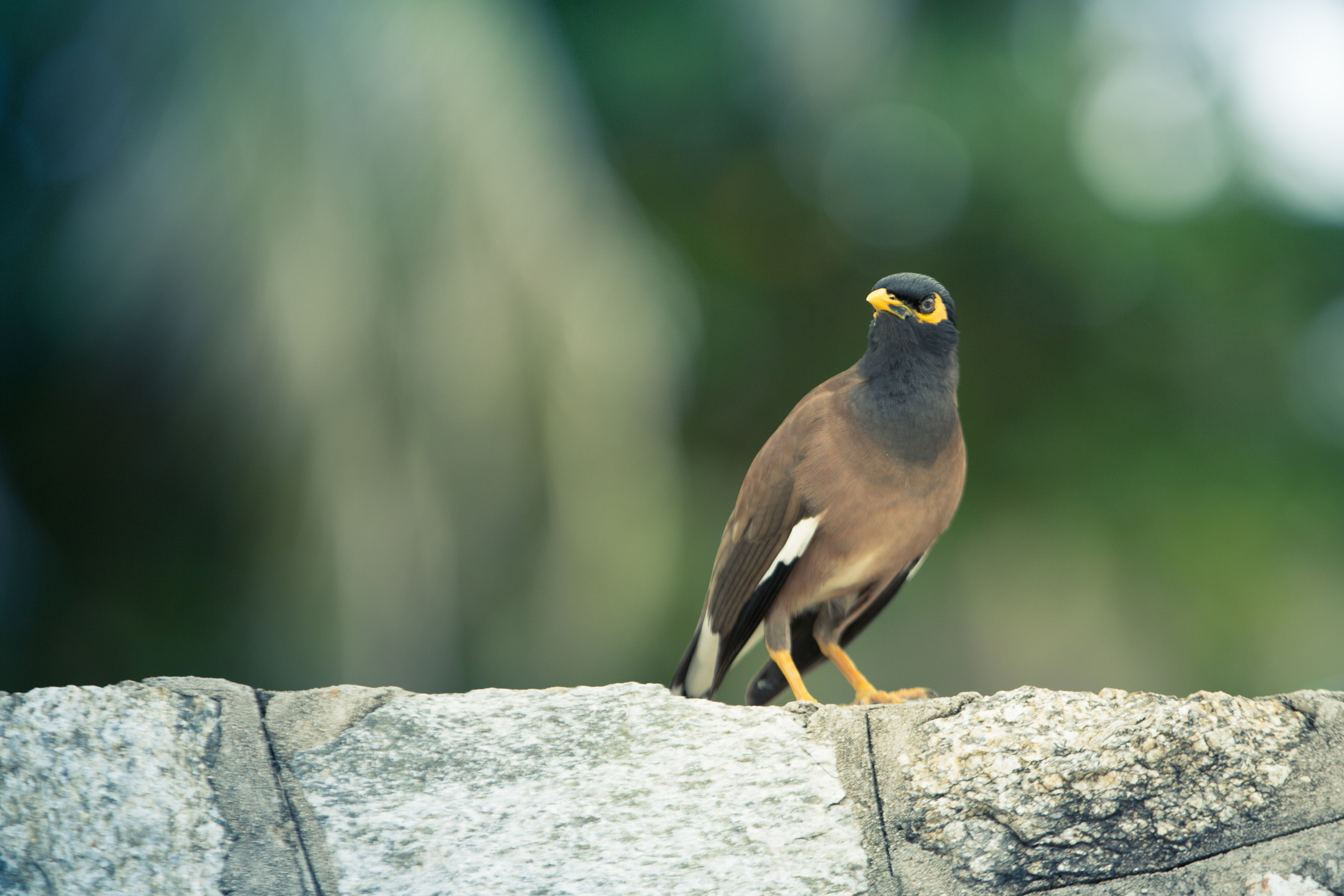 Фото Тайланда. Студия Максима Белослюдцева