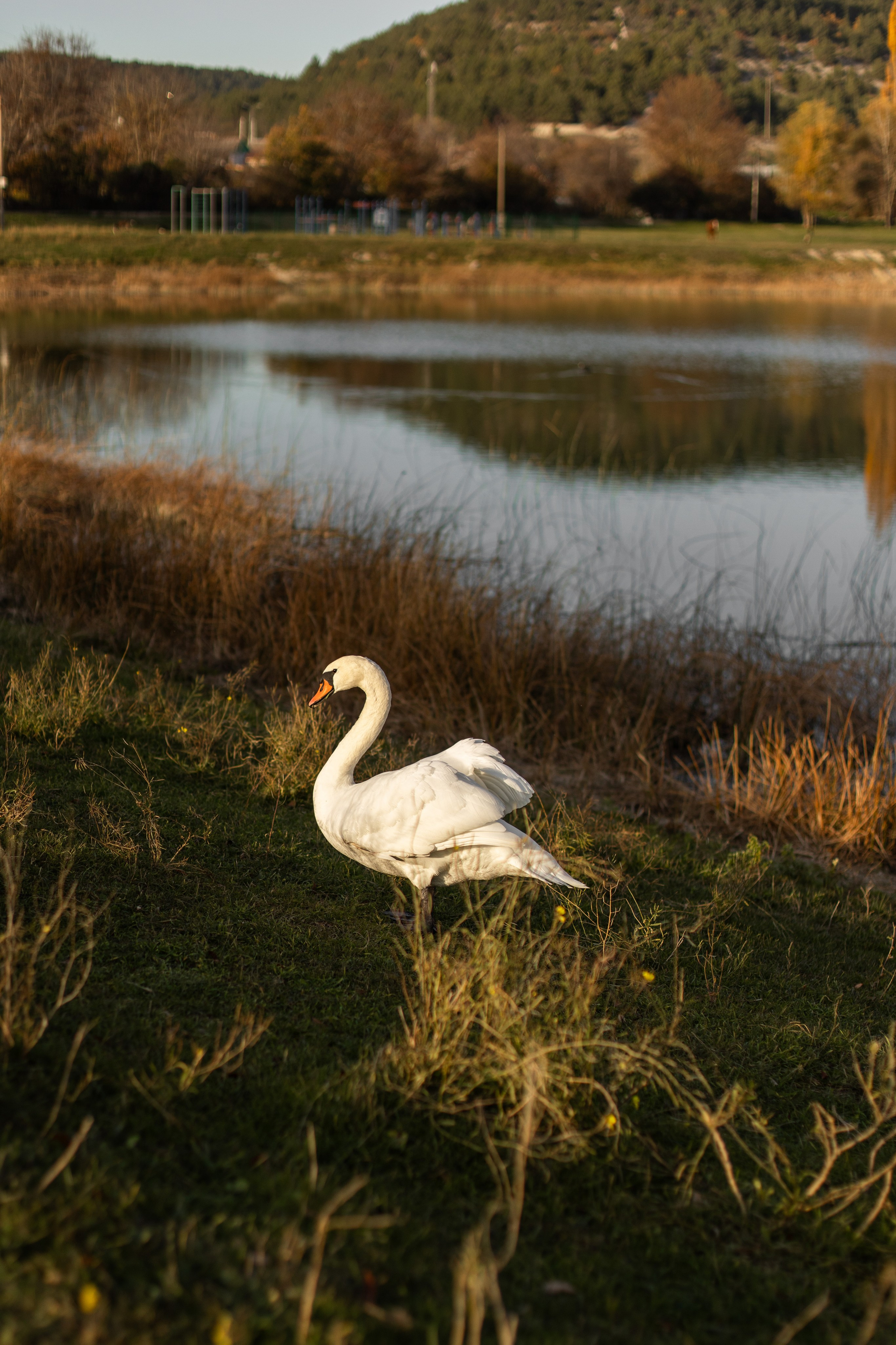 Ира, Сережа, Миша. Фотограф Севастополь — Климова Анастасия