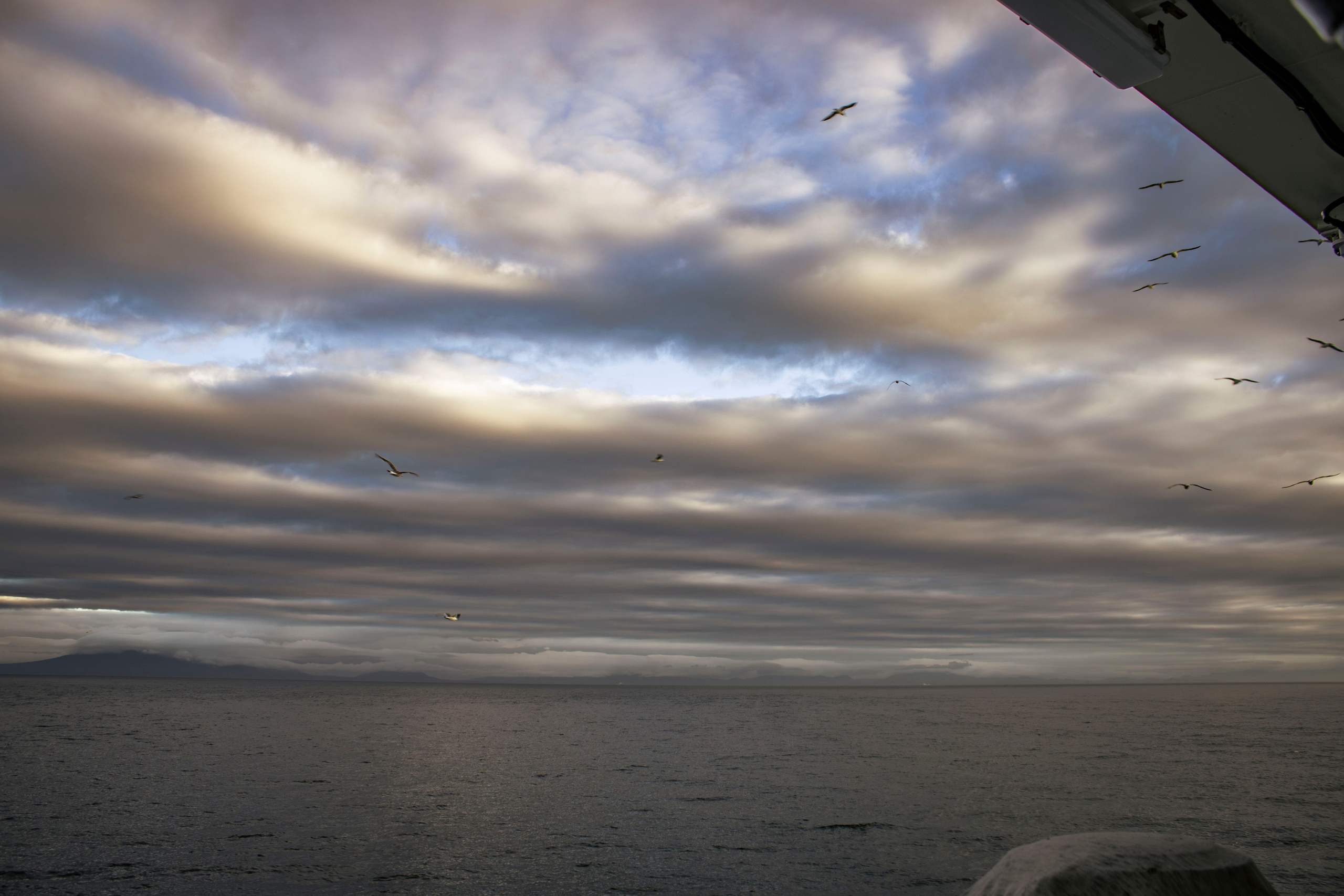 Когда я в море. Часть 1. Фотограф г. Владивосток