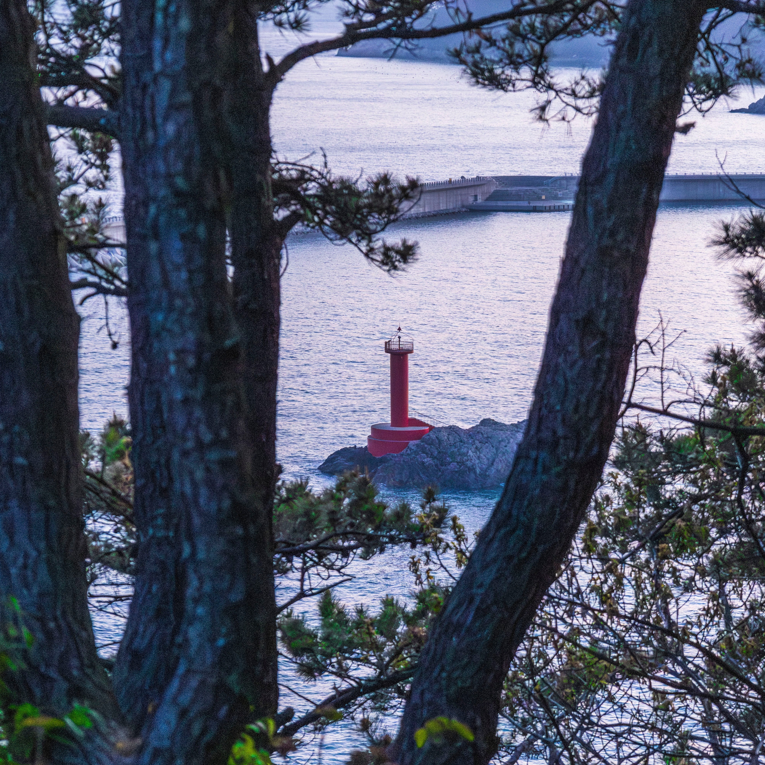 Однажды в Корее. Часть 2. Фотограф г. Владивосток