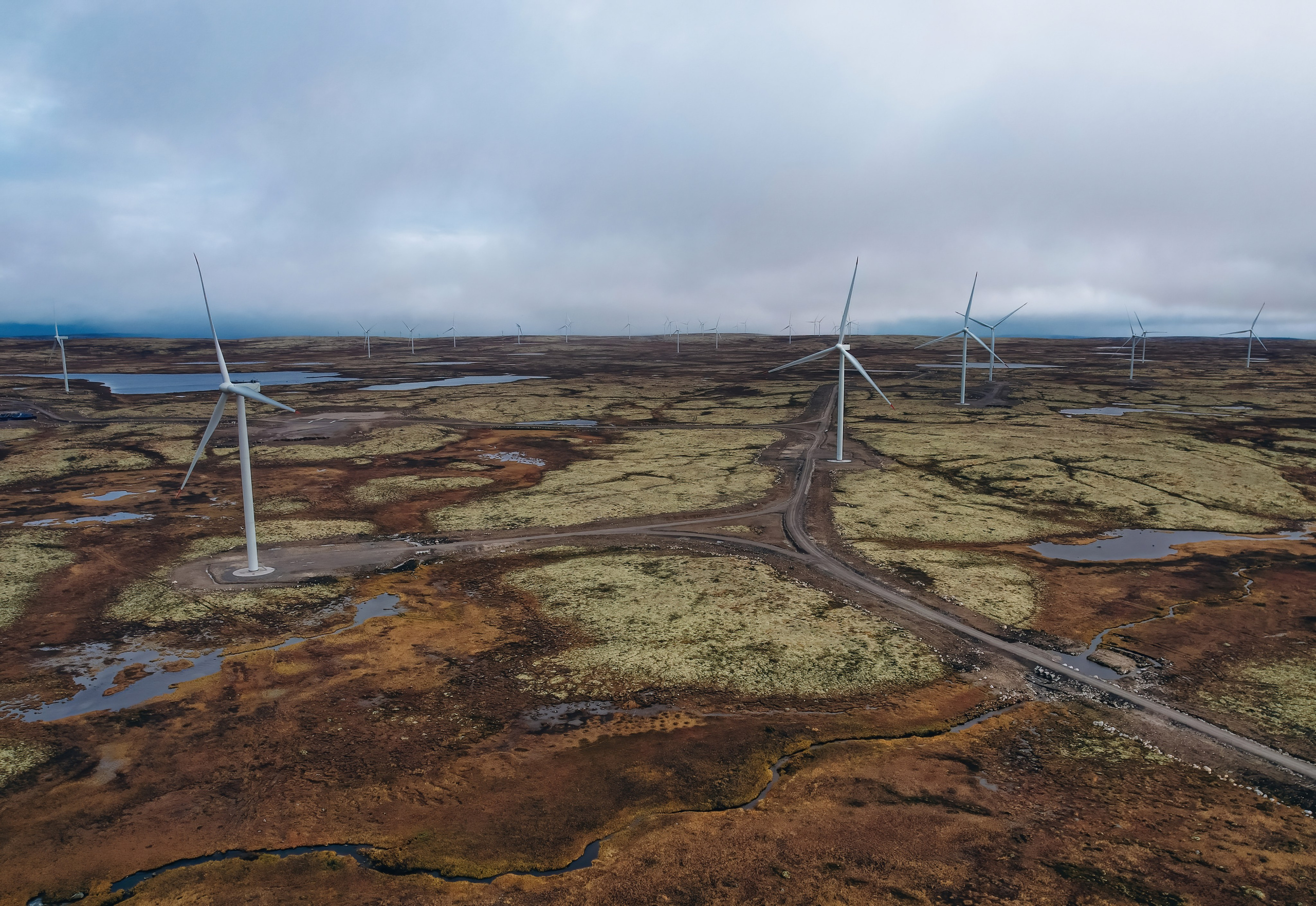 СЕВЕР. Event фотограф Степанова Александра