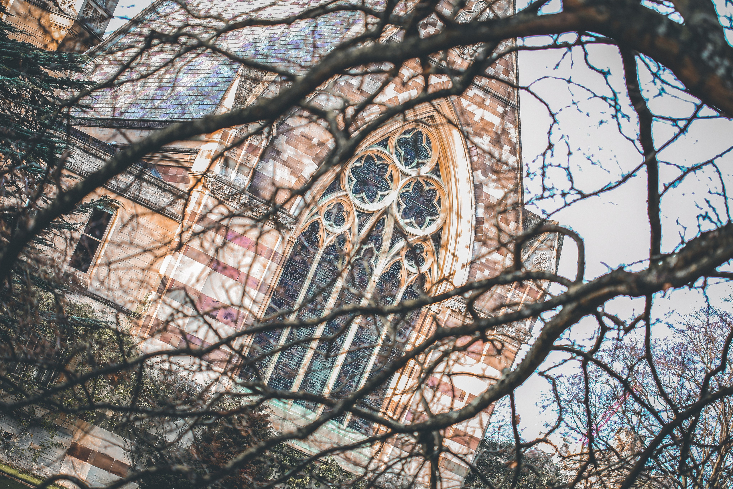 Англия: Гринвич, Хэмптон-Корт, Оксфорд, Виндзор, Стратфорд. Дарья Письменюк / Darya Leitstern — фотограф, музыкант, журналист, путешественник