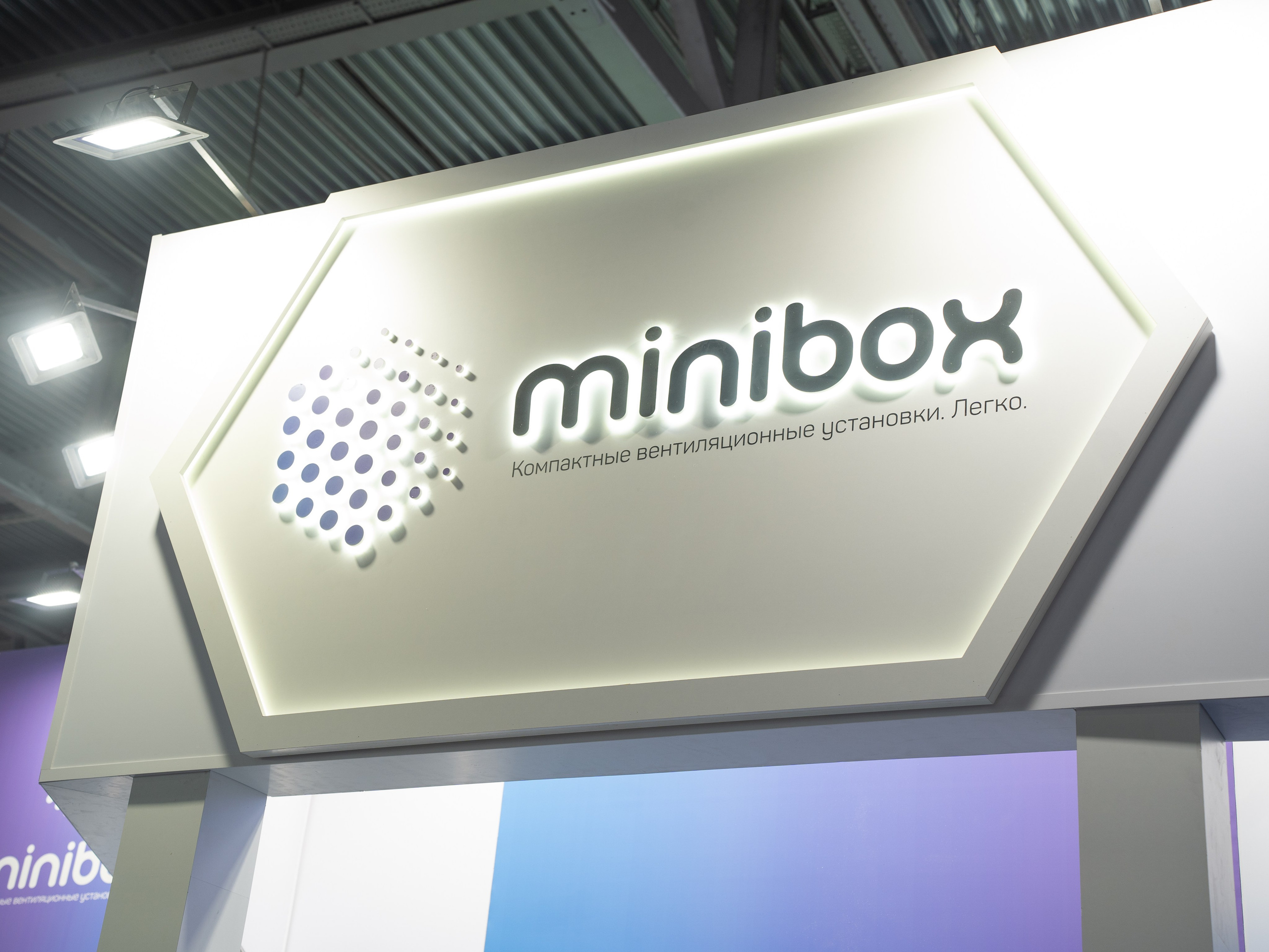 Крокус Вентиляция. Фотограф Зинаида Евдокимова