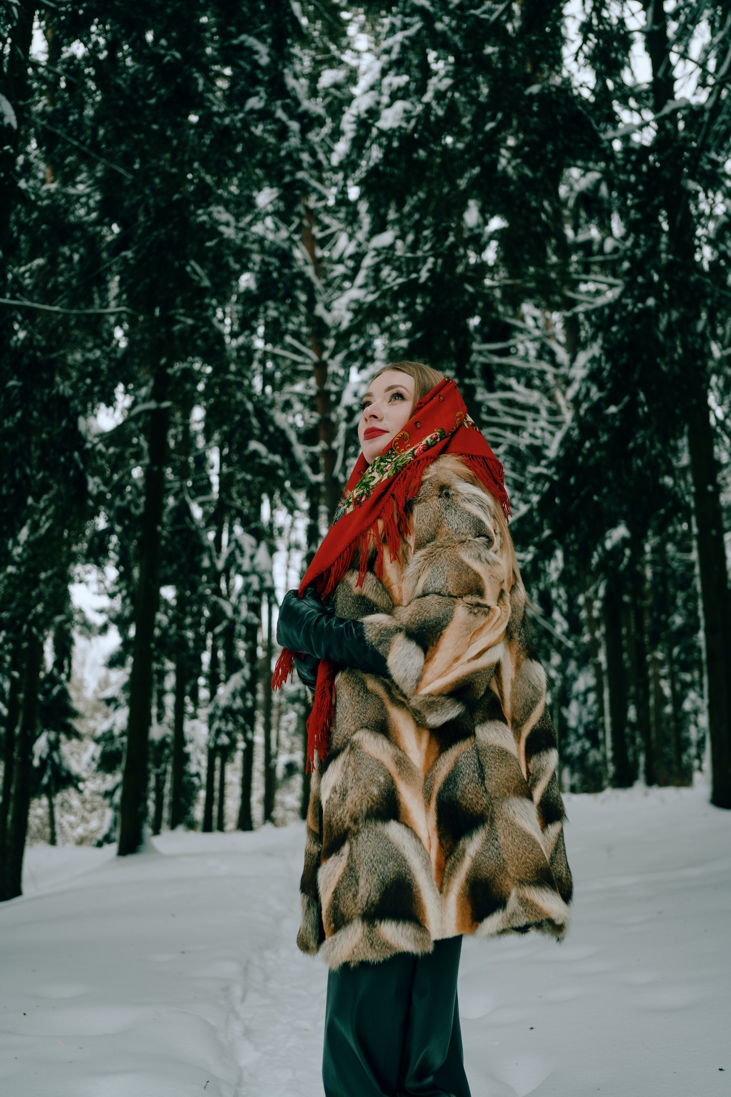 Звенит январская вьюга. Главная