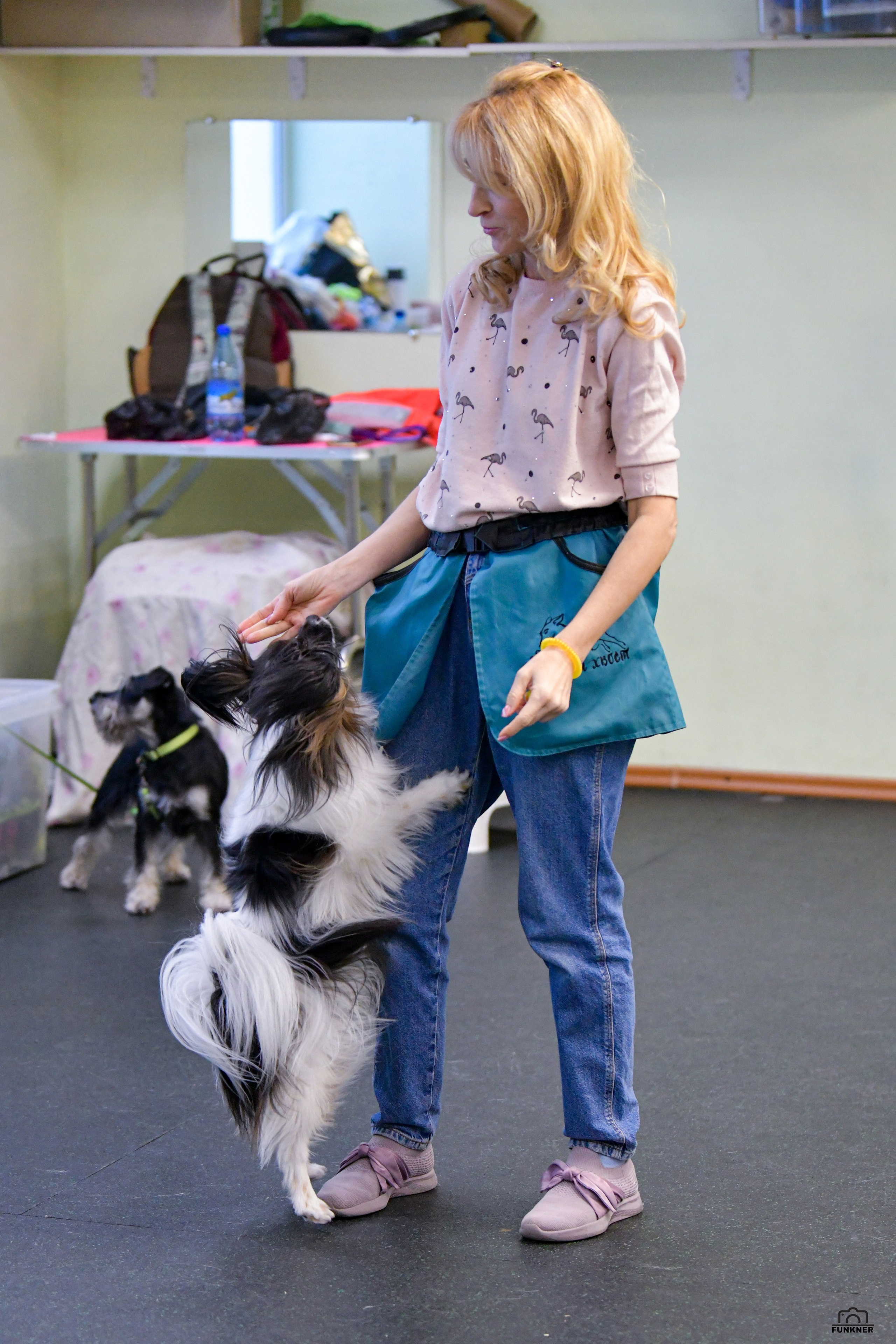 Кинологический клуб «Бодрый хвост». Свой взгляд через объектив