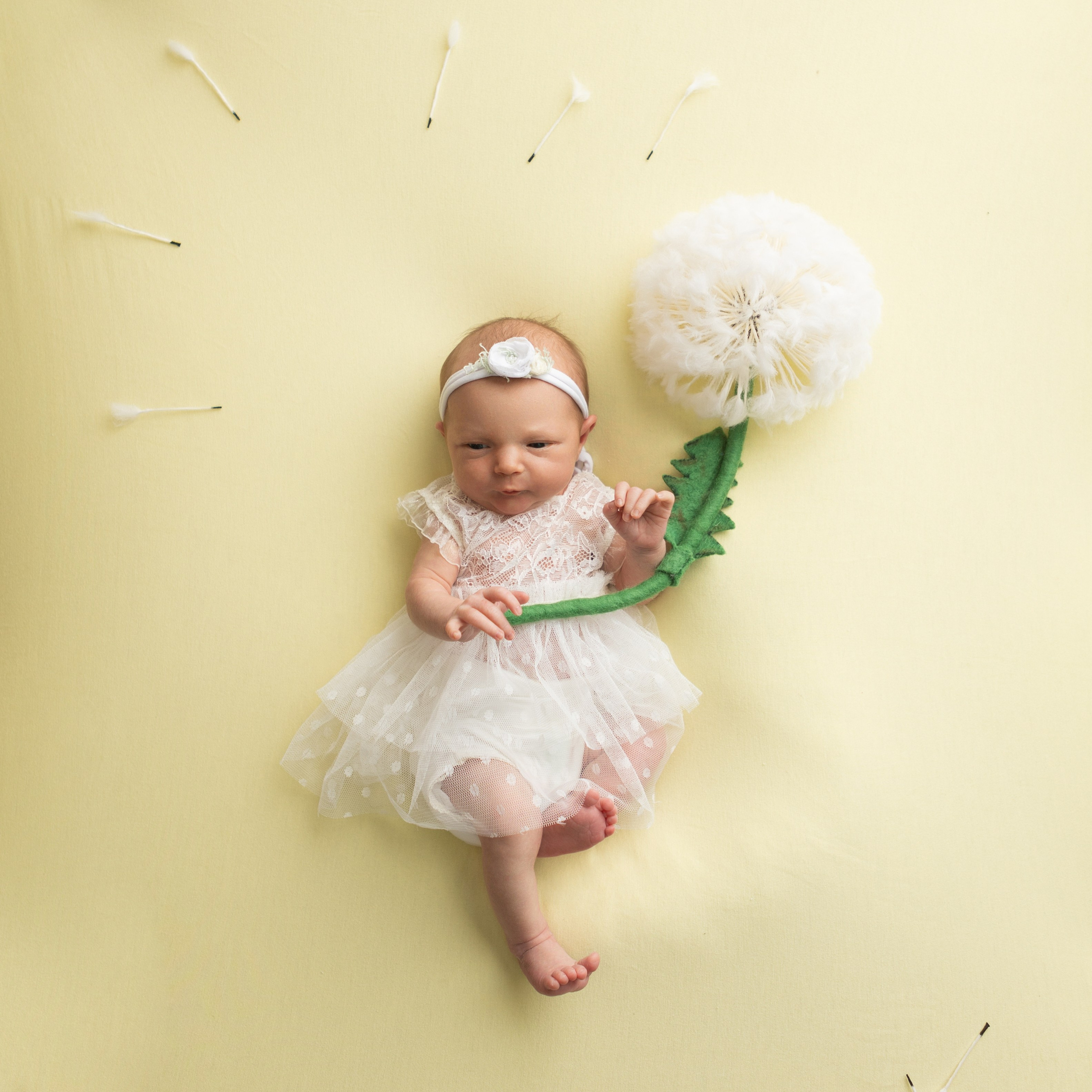 Новорожденные. Фотограф новорожденных. Детский и семейный фотограф Марьяна Юдина