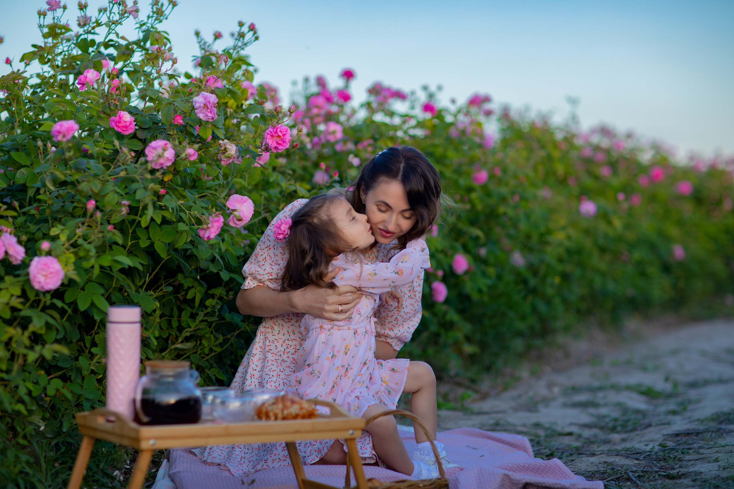 Чайная роза. Фотограф Севастополь/Крым Светлана Евтушенко