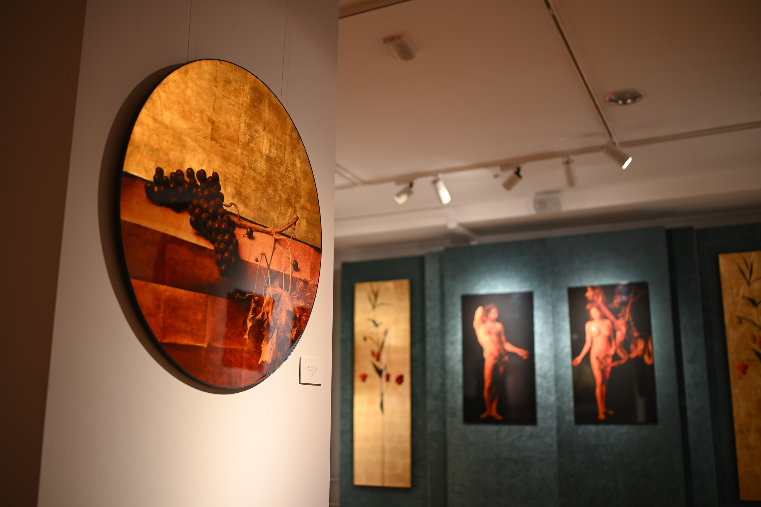 ТресвЪтлое солнце | Выставка фотографии. Портфолио