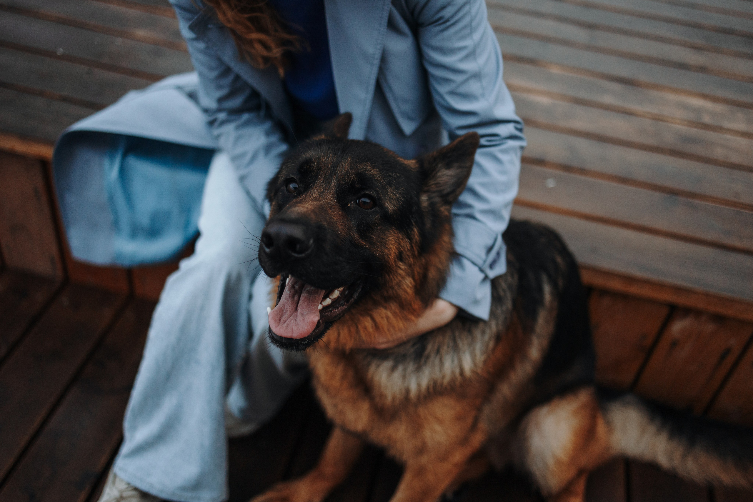 Катя и Агат. Фотограф — Анималист | Санкт-Петербург