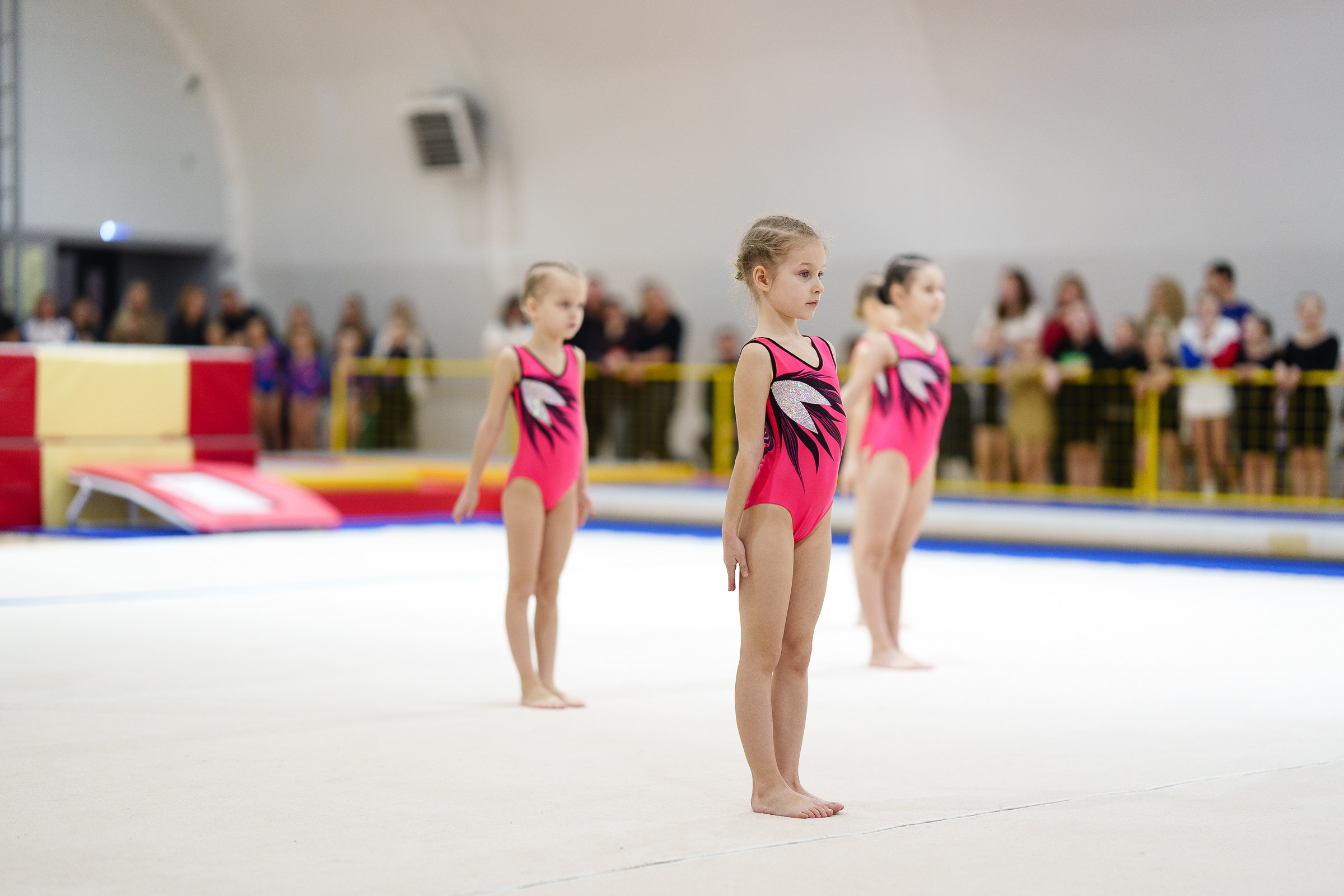 Гимнастика. Фотограф Москва