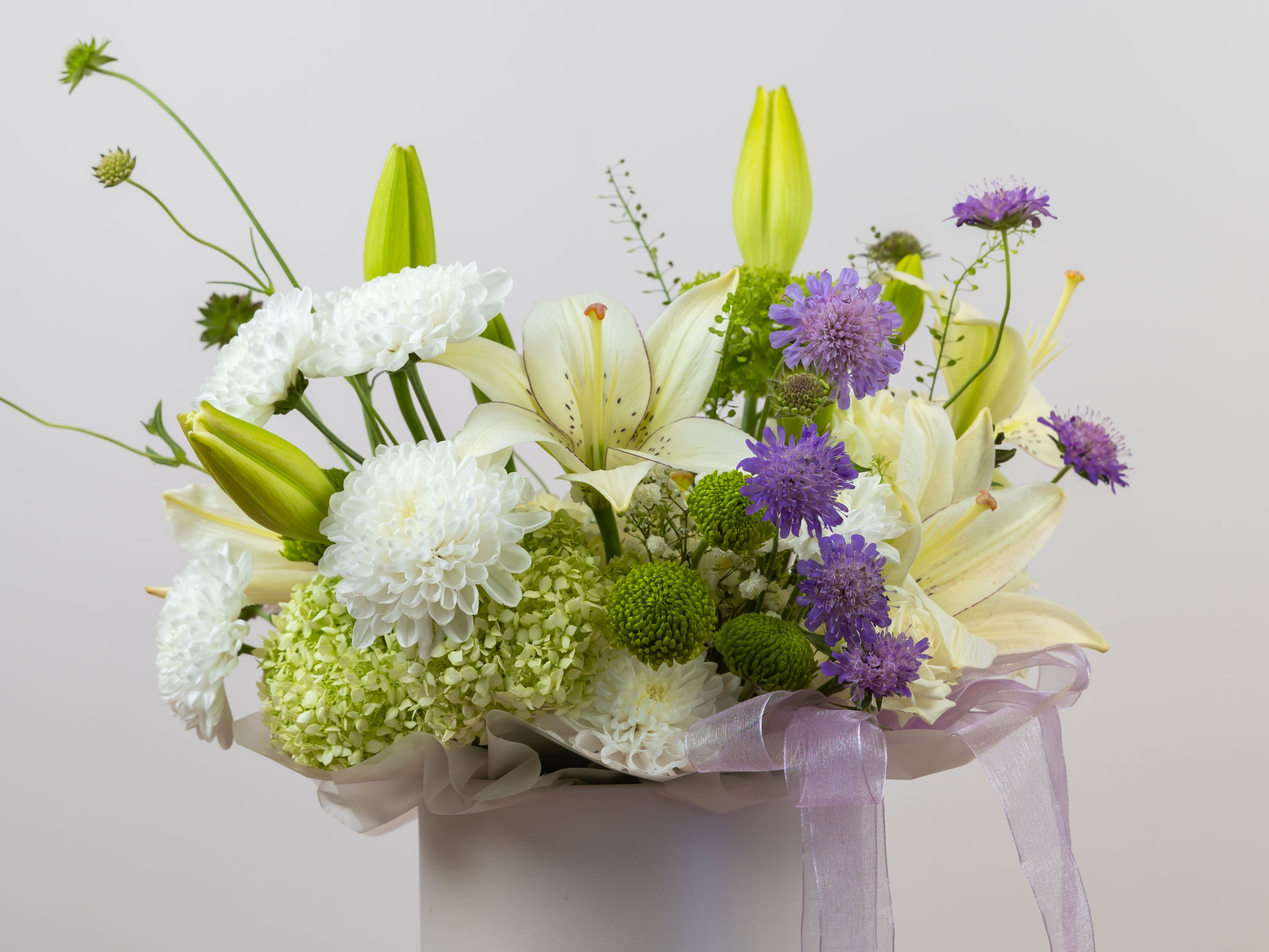 ЦВЕТЫ. ФОТОГРАФ ВИНОГРАДОВА ДАРЬЯ