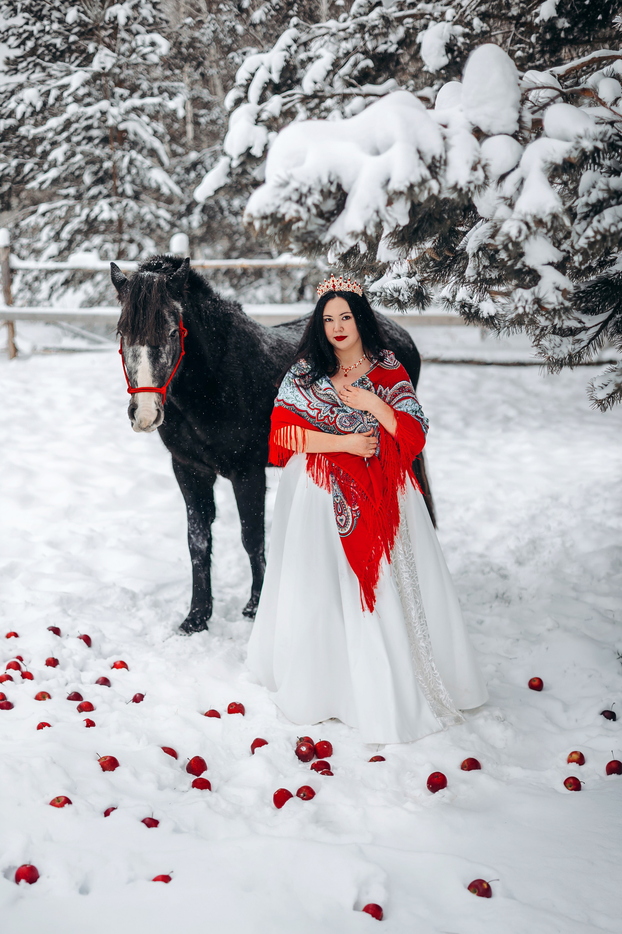 Яблоки на снегу. Анна Молчанова конный фотограф в Тюмени | фотосессии с лошадьми Тюмень
