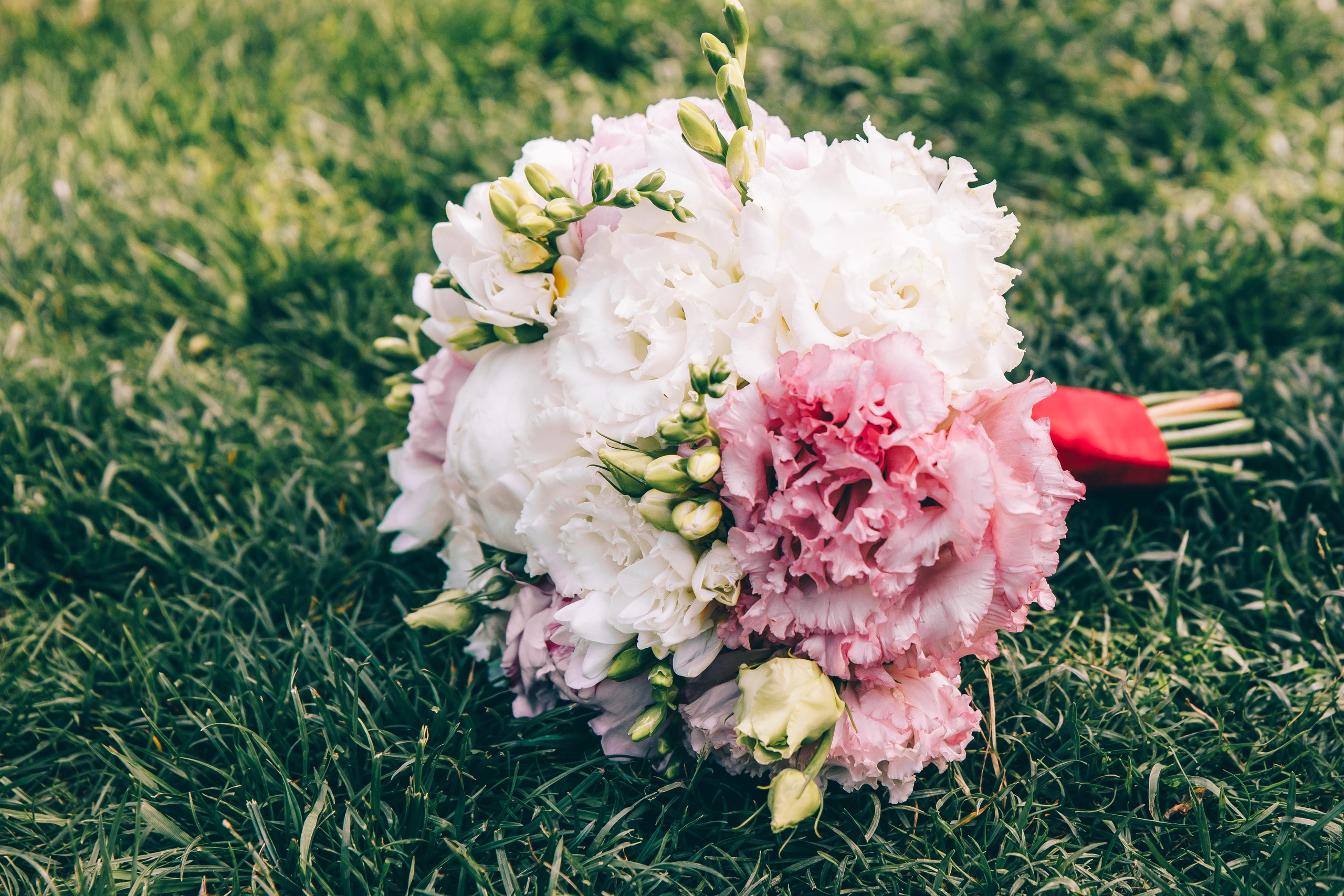 ЕКАТЕРИНА И ДМИТРИЙ. Свадебный и семейный фотограф в Курске и Курчатове