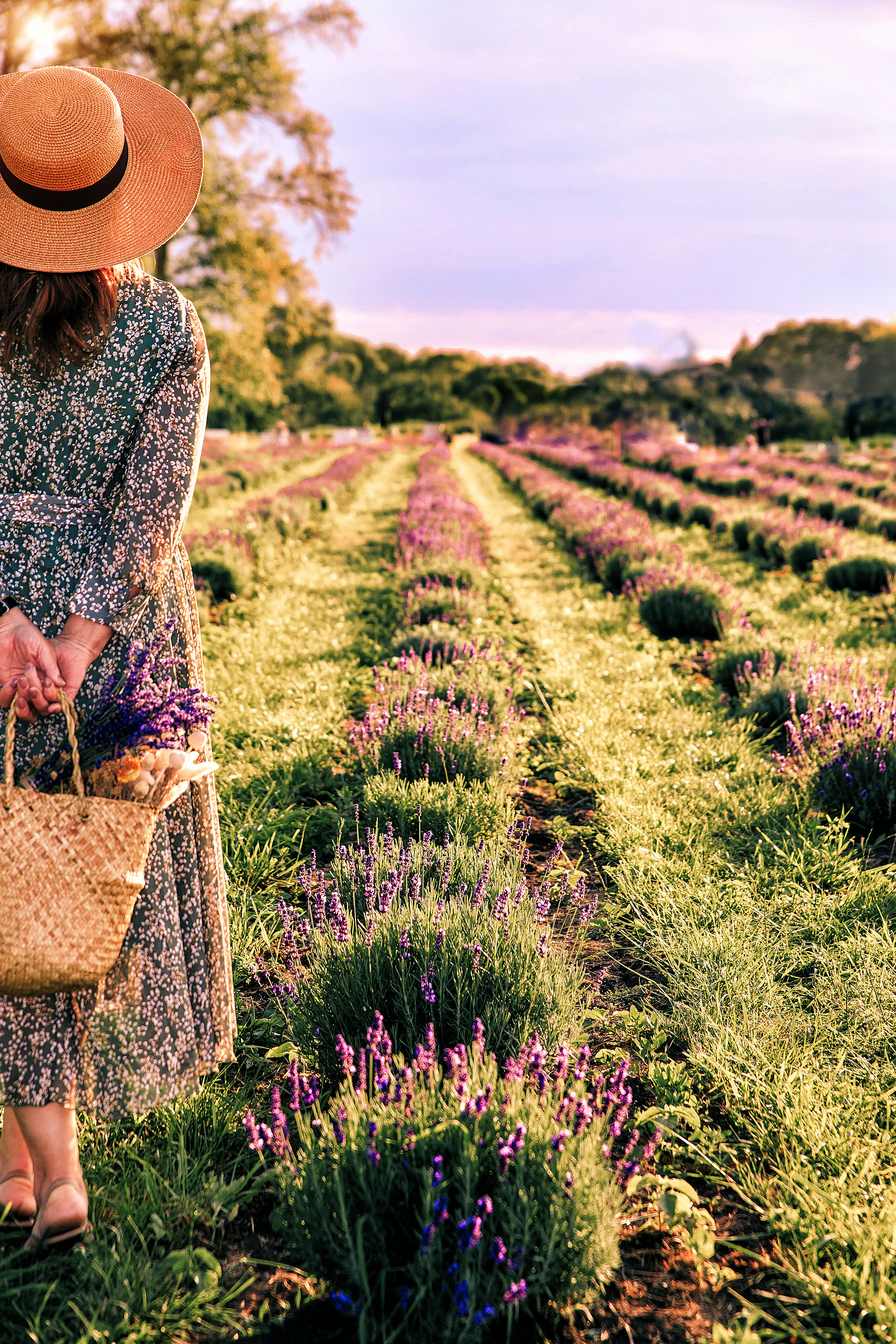 ЛАВАНДОВОЕ ПОЛЕ. Свадебный и семейный фотограф в Курске и Курчатове