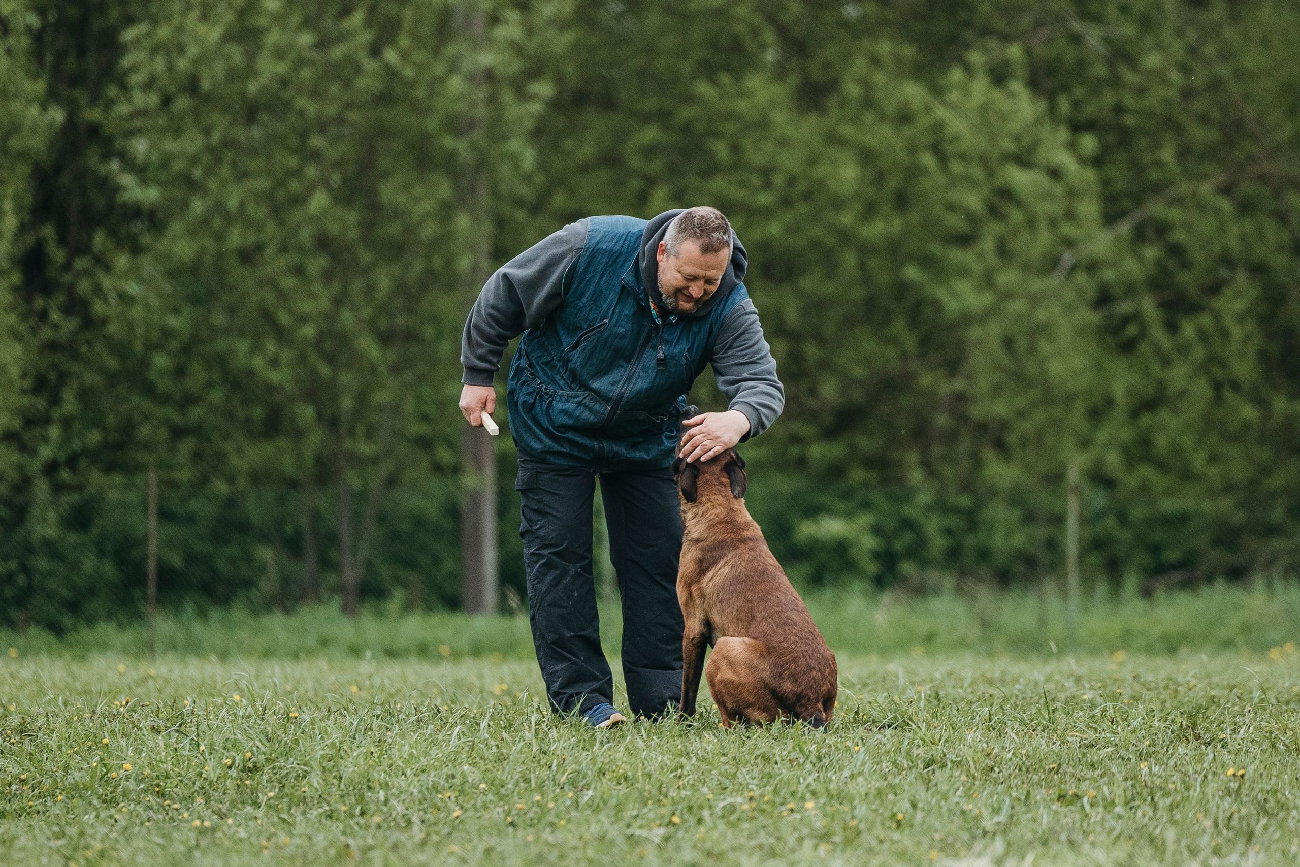 26.05.25 г. Пушкин квалификационные соревнования. Фотограф-анималист Анна Маринич