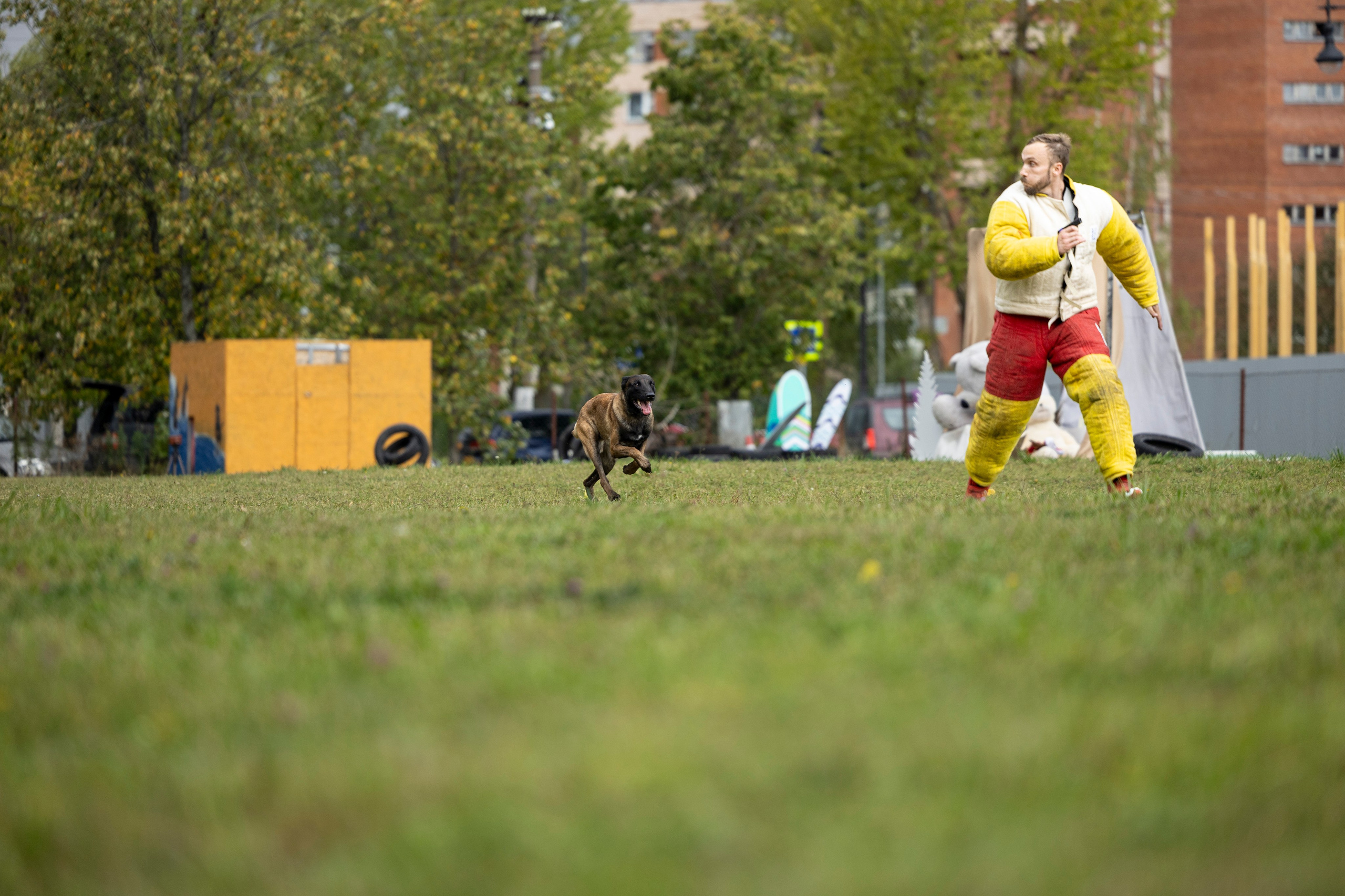 Испытания по Мондьорингу г. Пушкин. Фотограф-анималист Анна Маринич