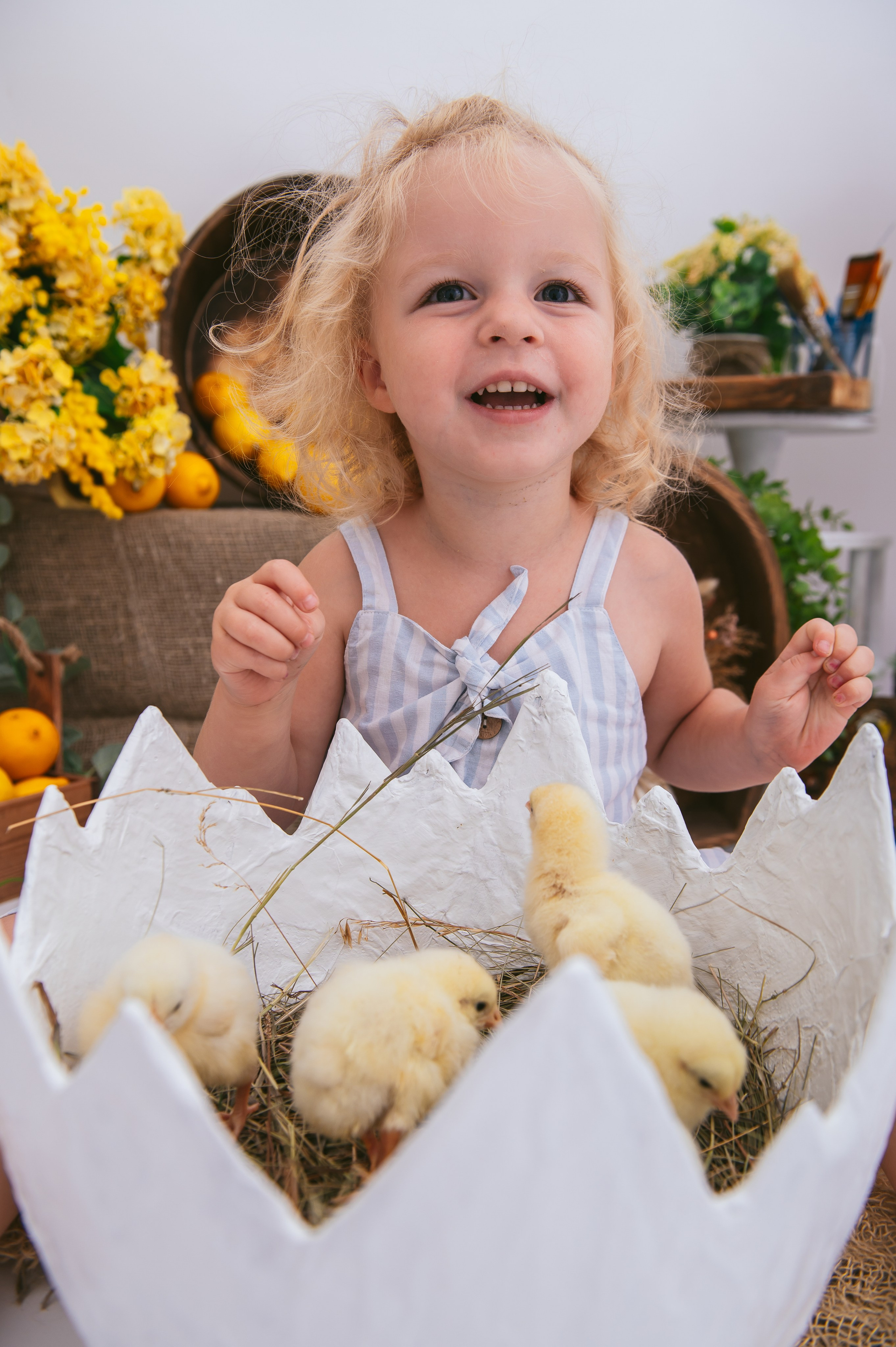 Цыплята. Детский фотограф Магадан