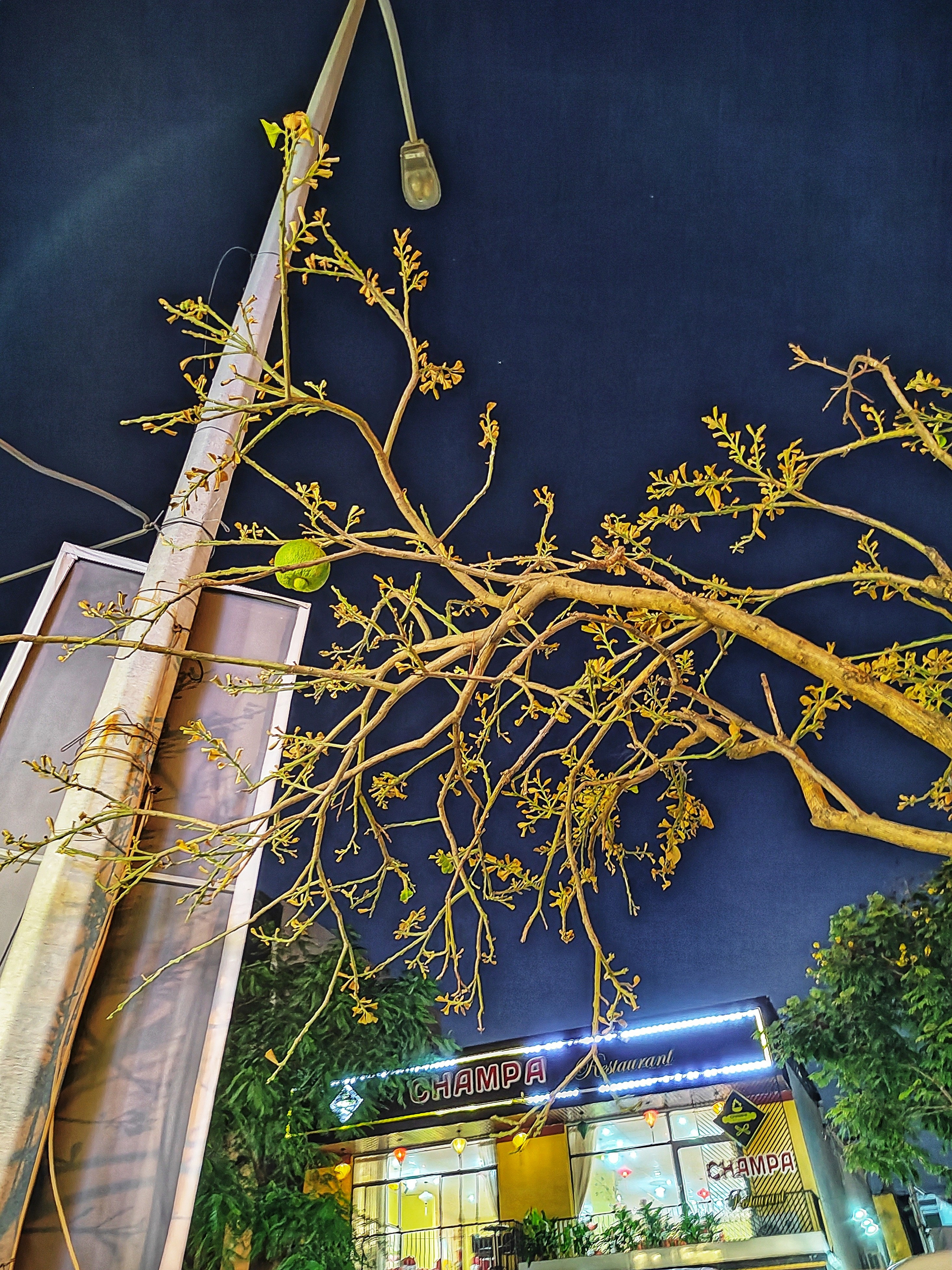 Премиальные авторские путешествия — наслаждайтесь эксклюзивным отдыхом. Фотограф в Перми Любовь Огородова | Авторские туры