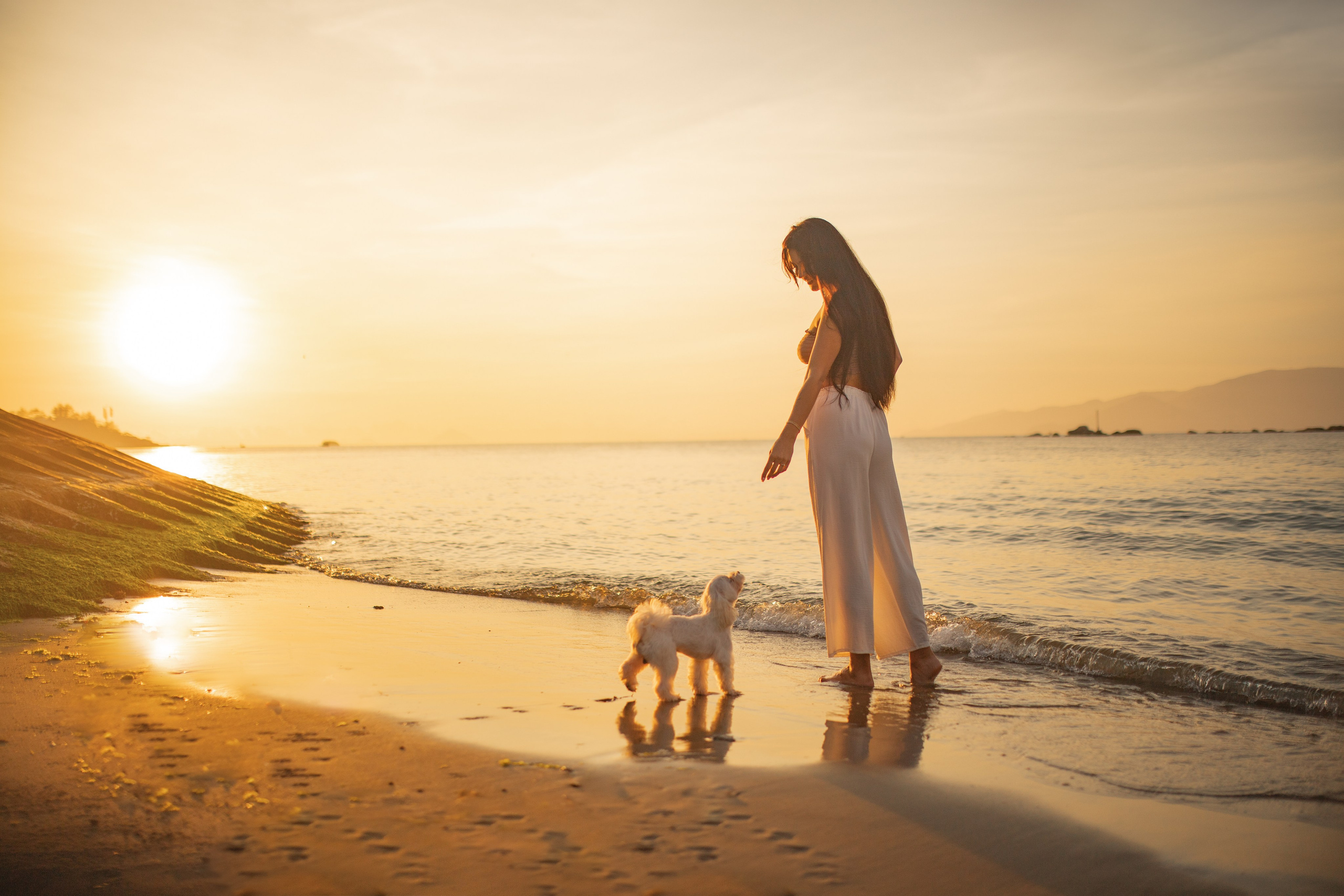 Анастасия и ее Пират.Нячанг. Главная